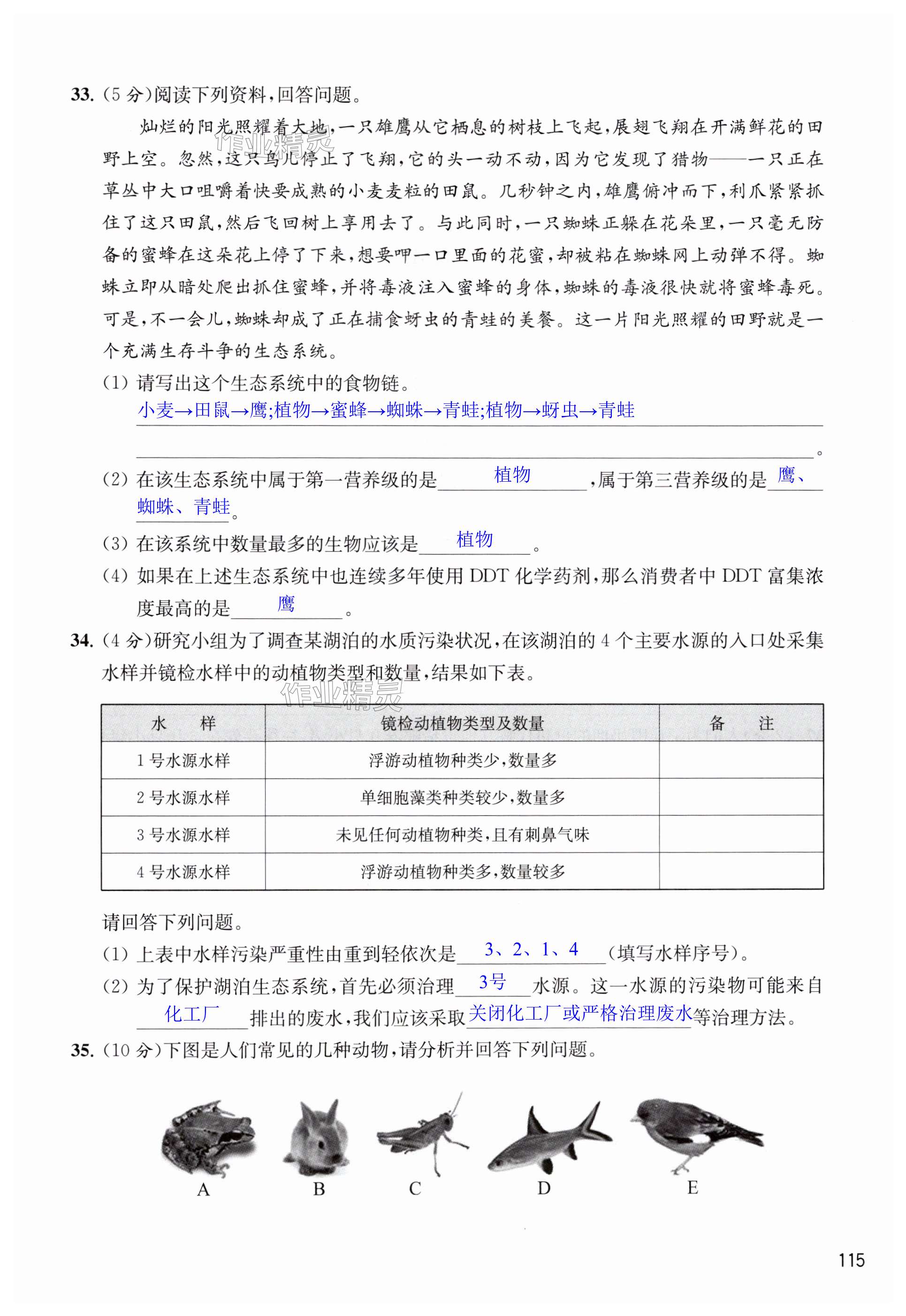 第115页