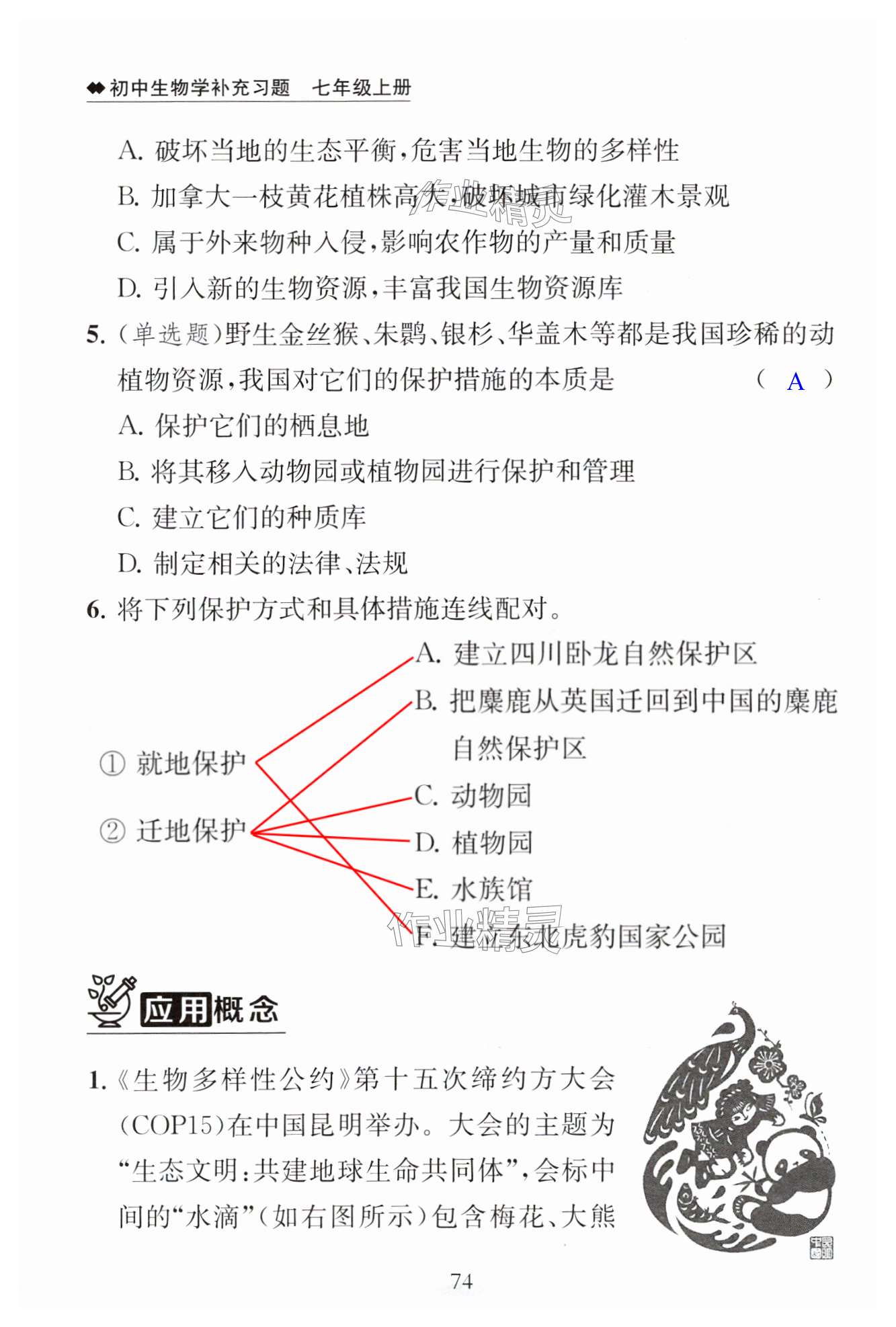 第74页