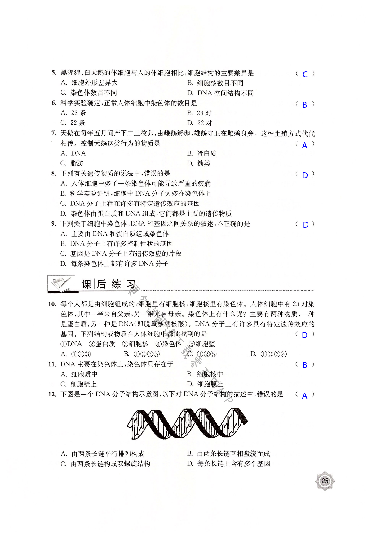 第二十二章 生物的遗传与变异 - 第25页