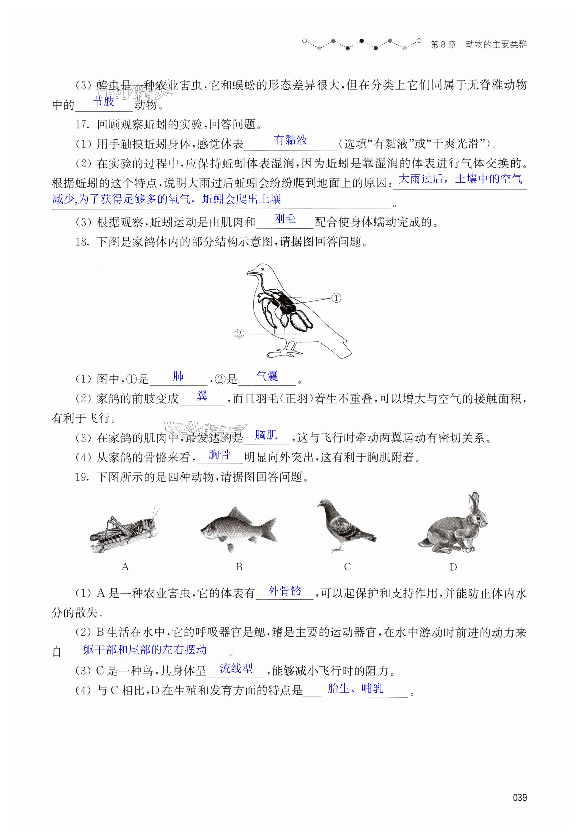 第39页