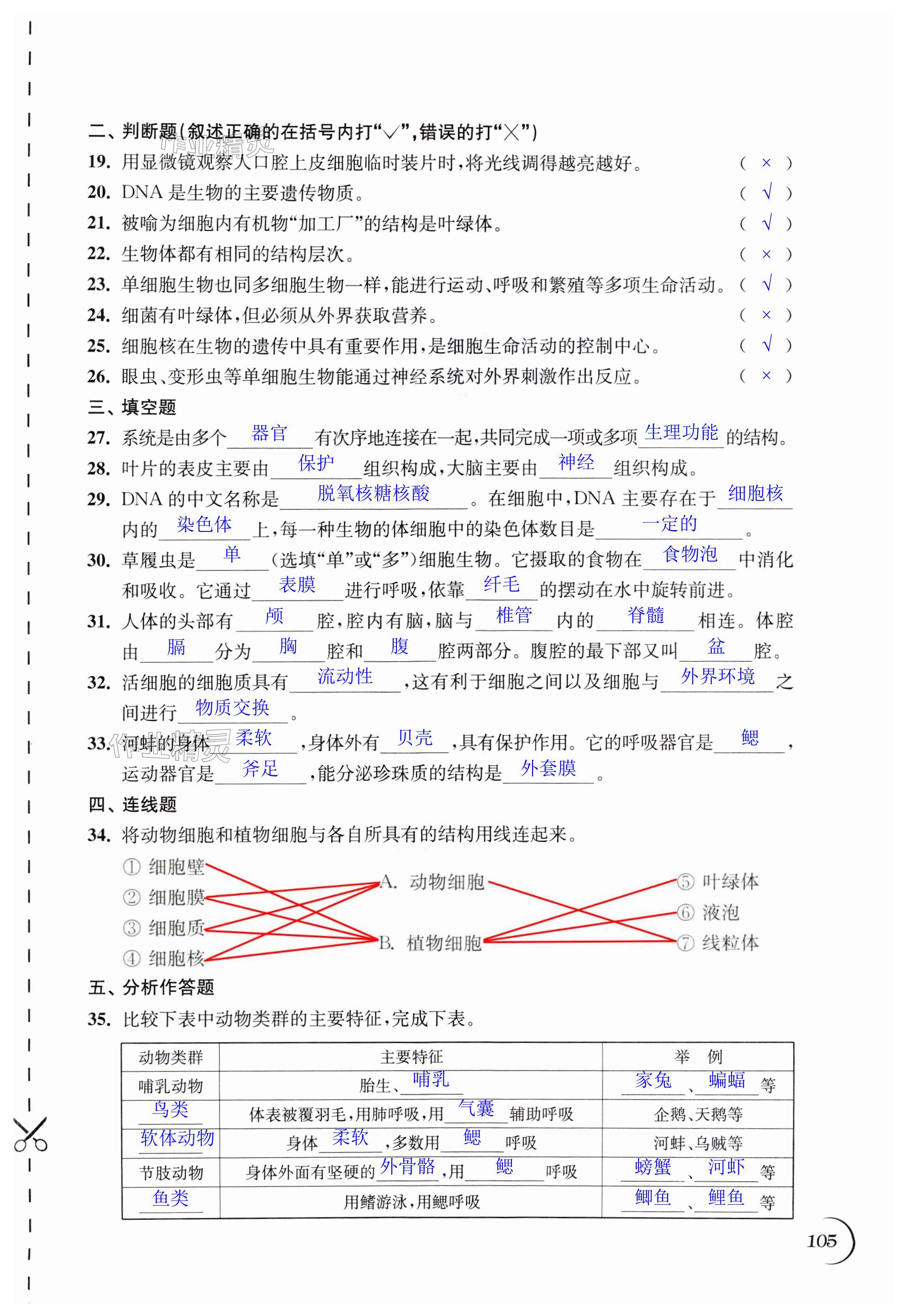 第105页