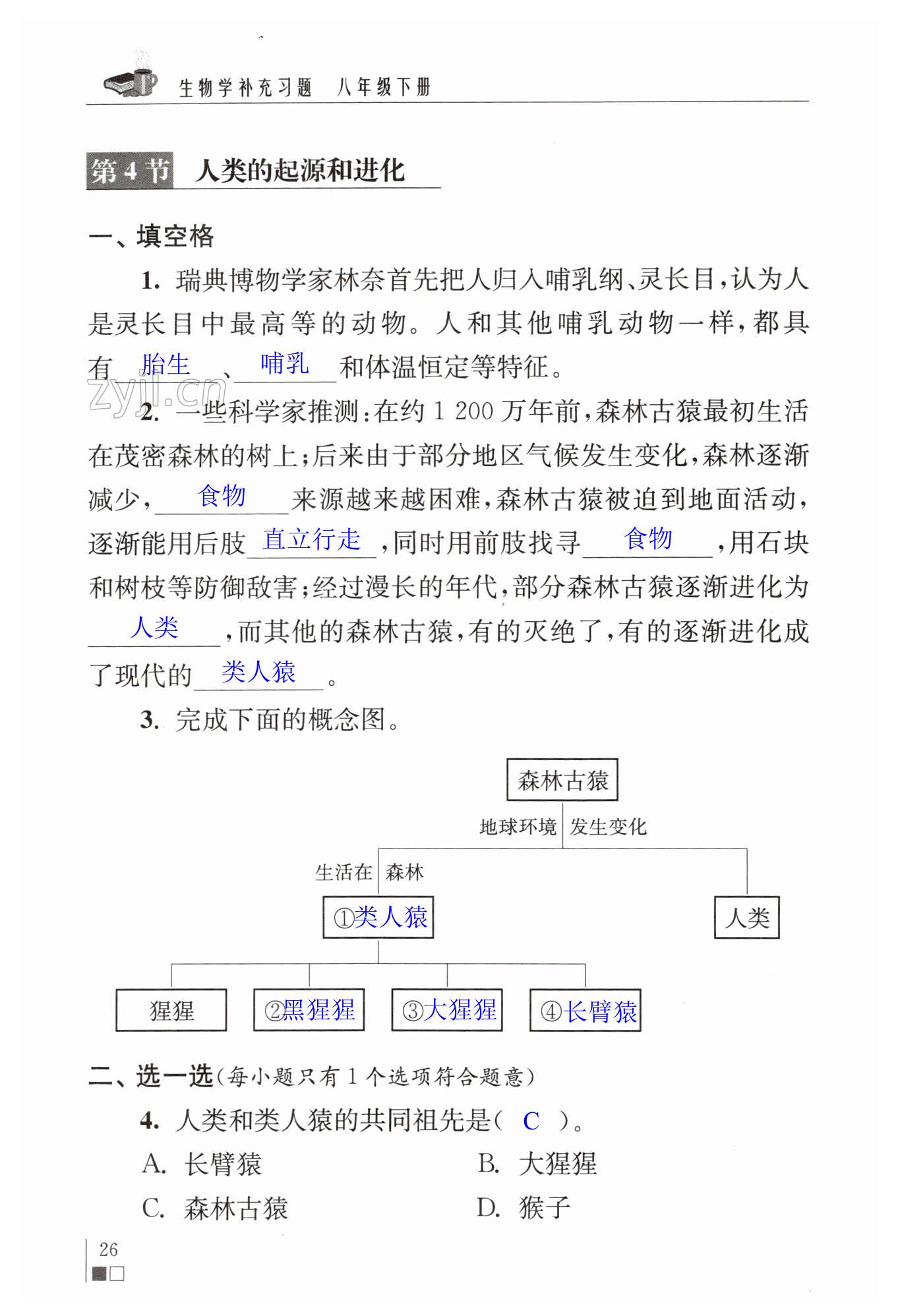 第26页