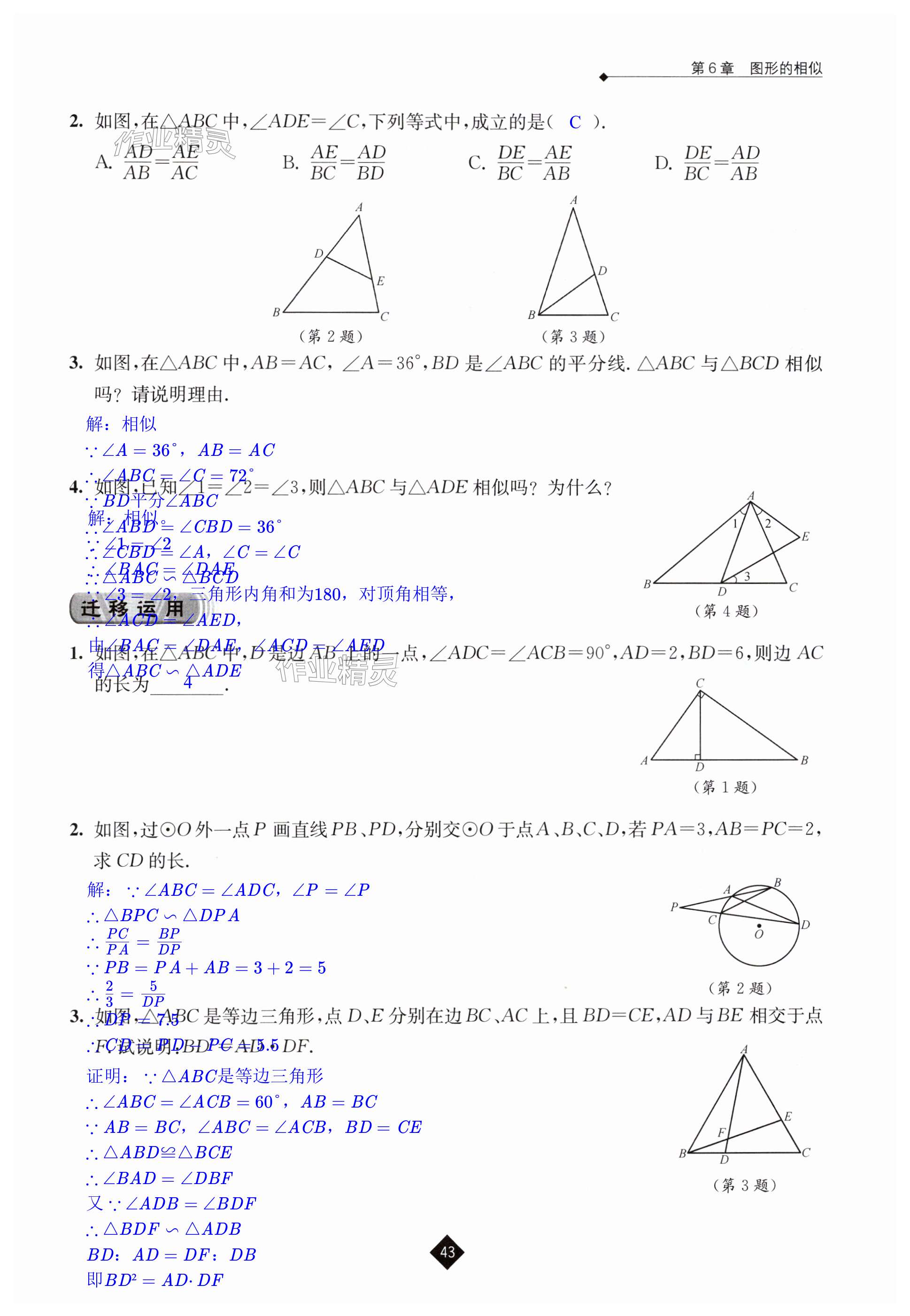 第43页