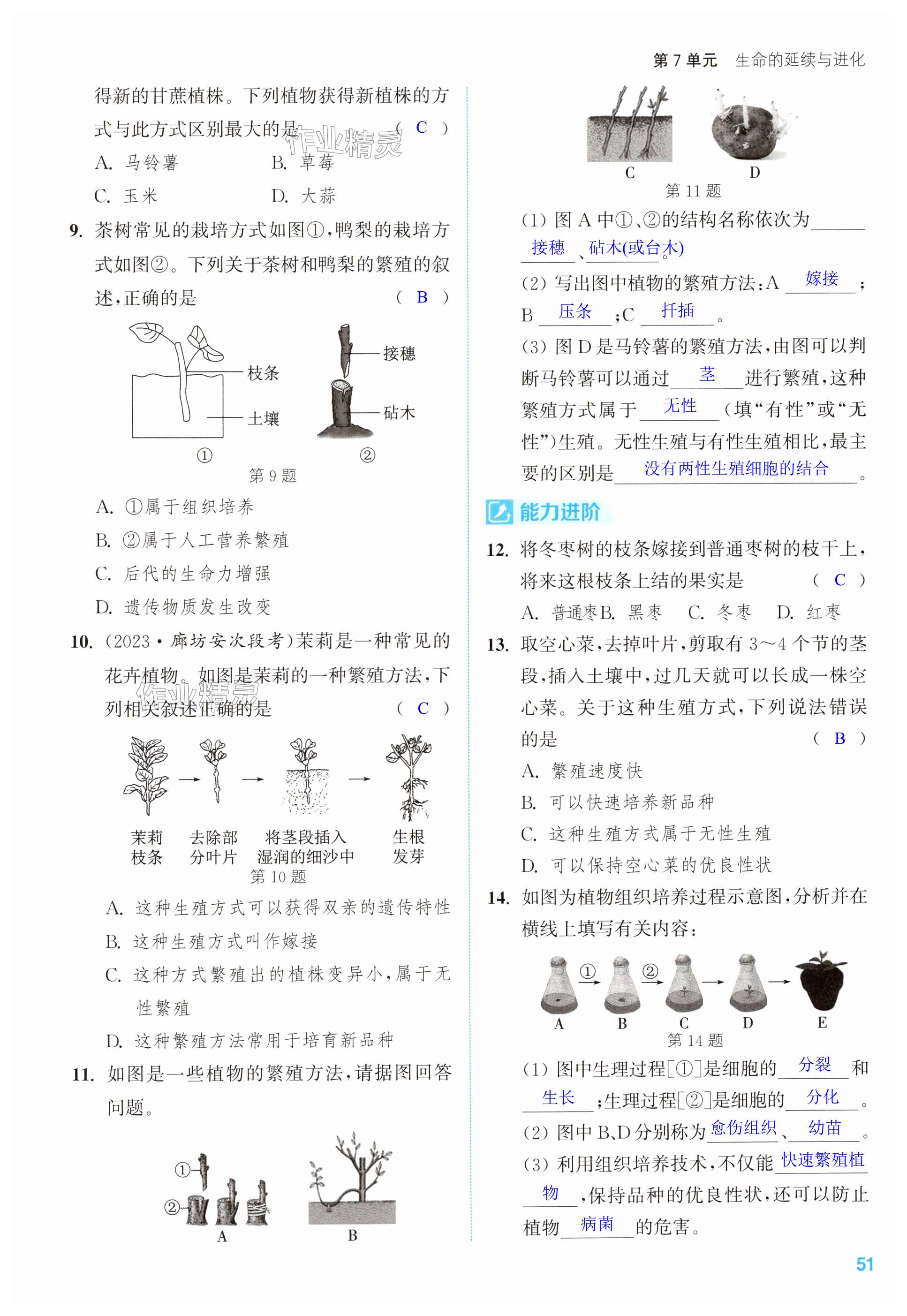 第51页