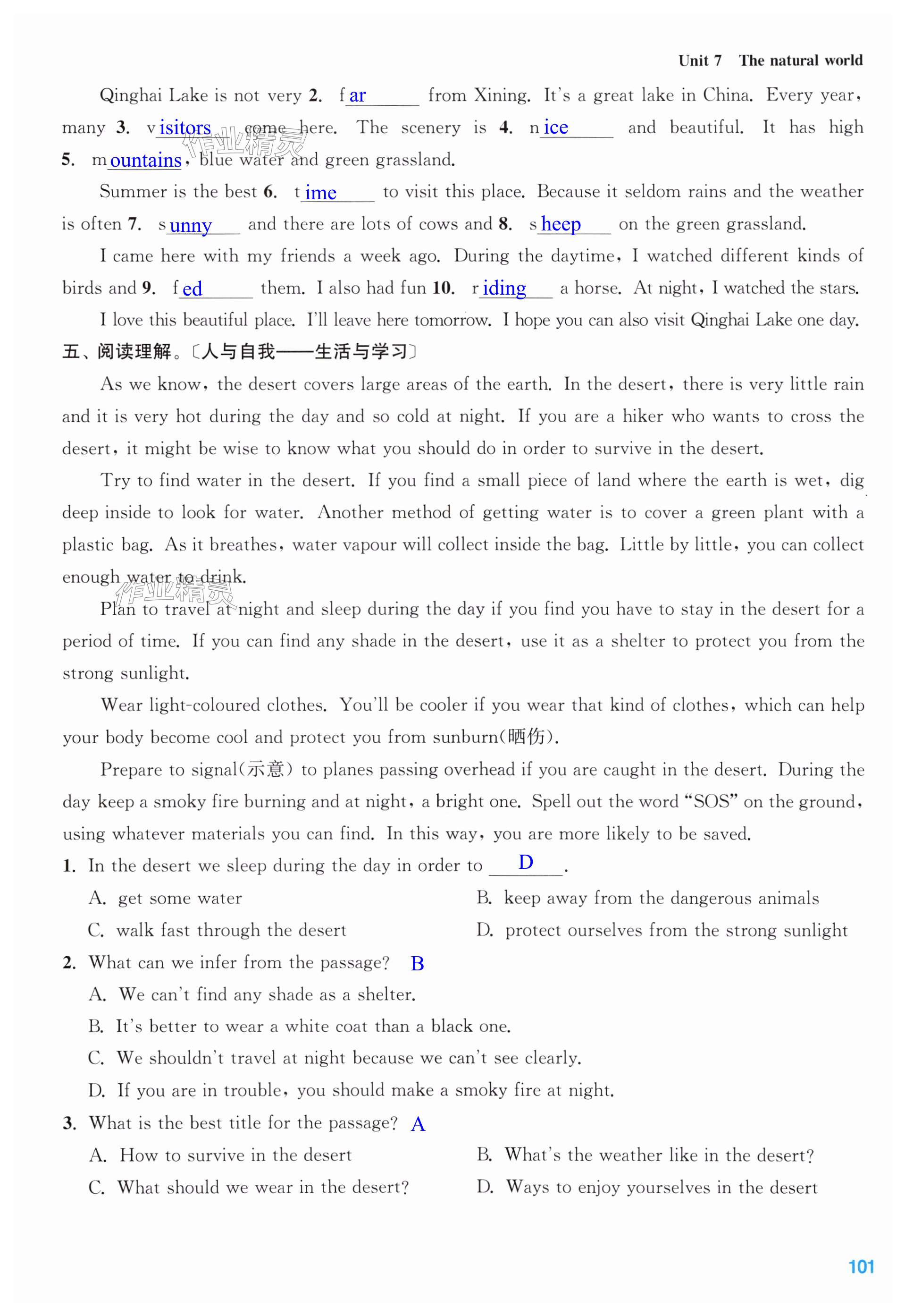 第101页