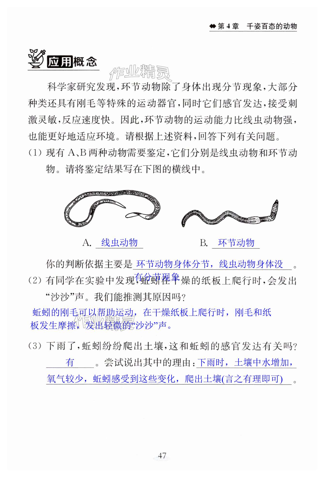 第47页
