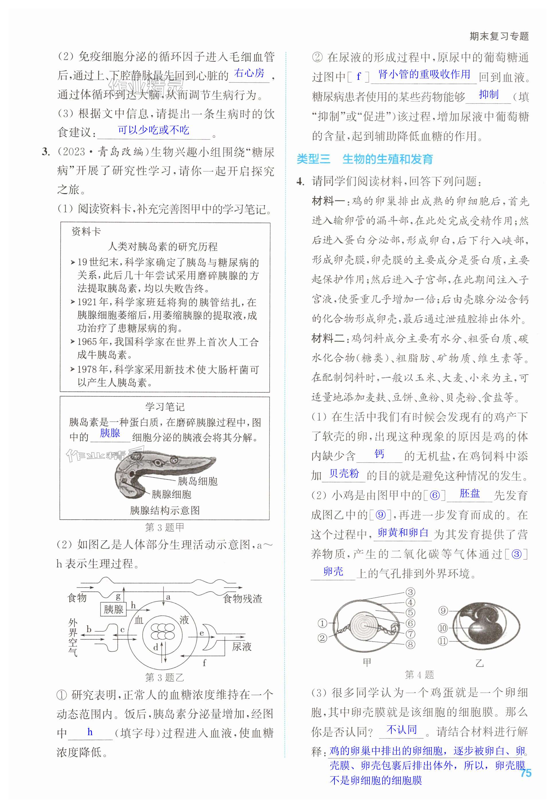 第75页