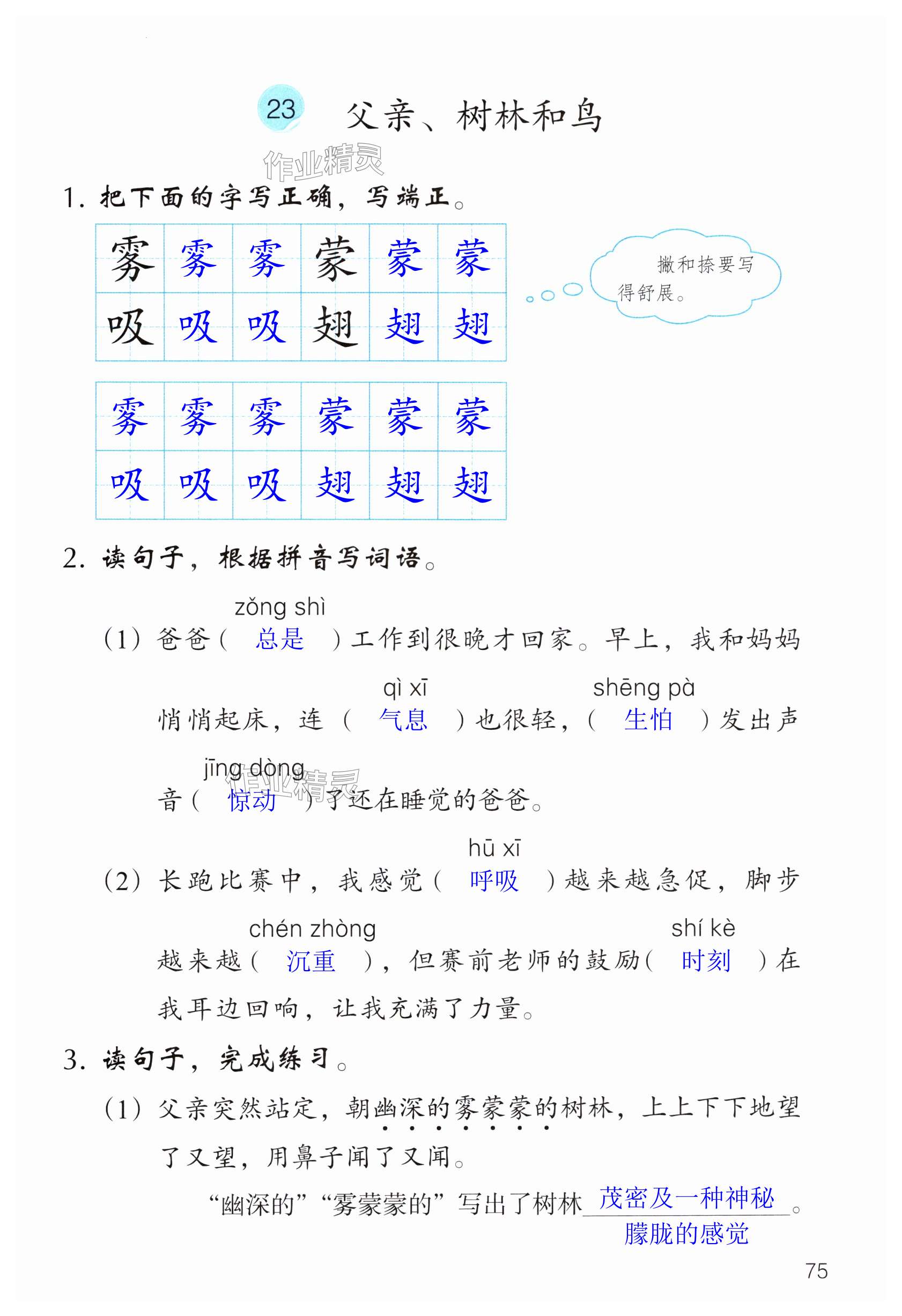 第75页