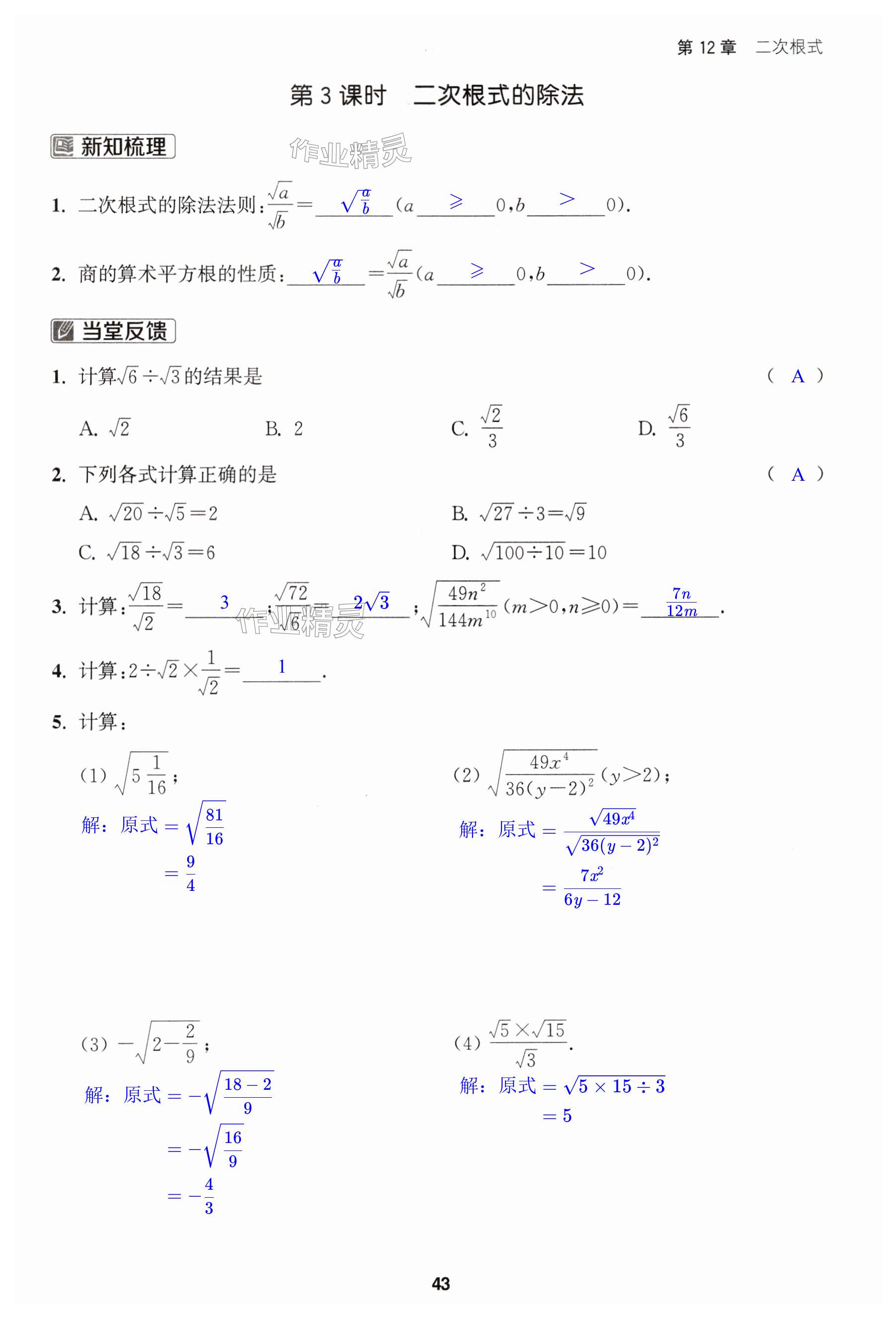 第43页