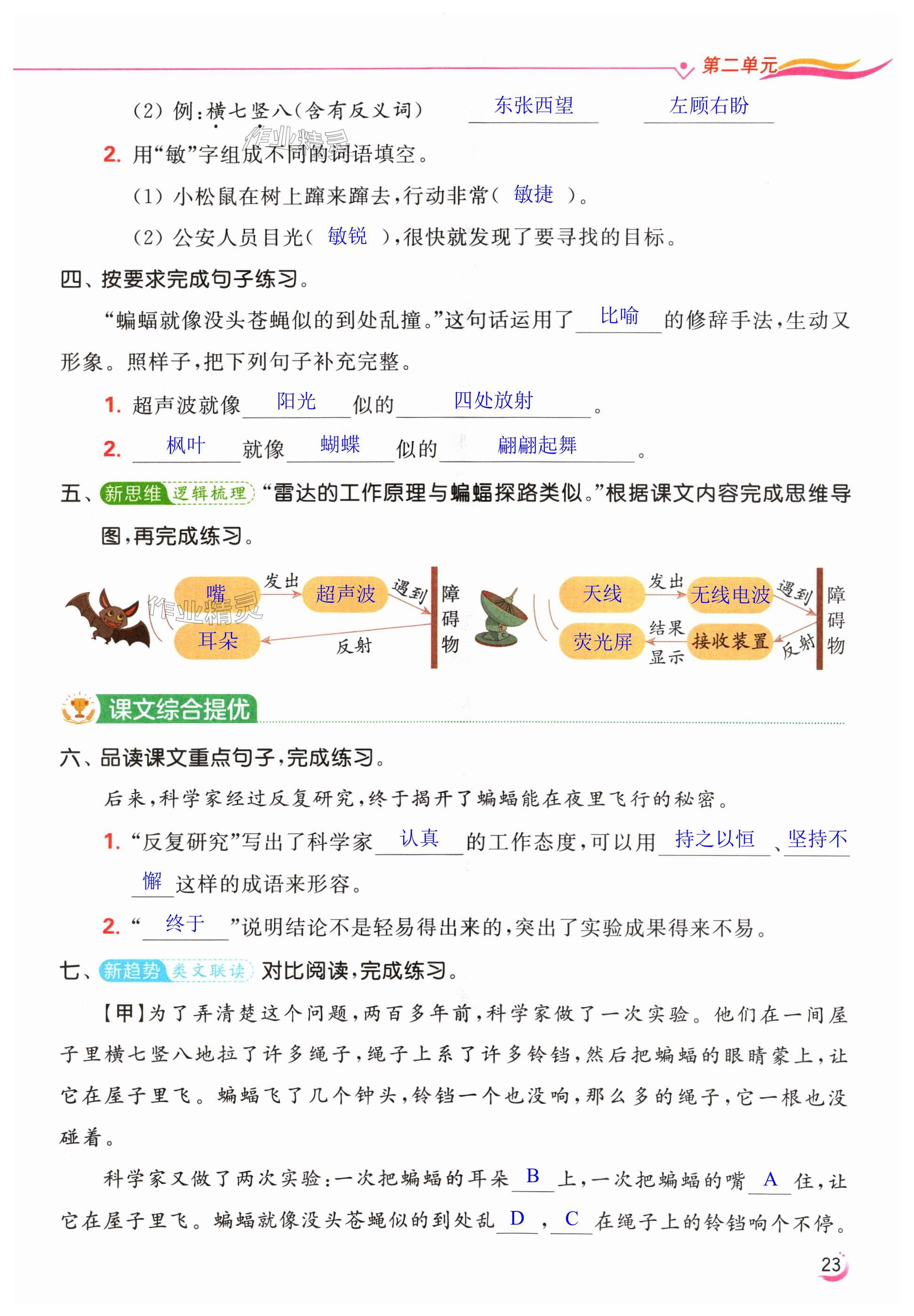 第23页