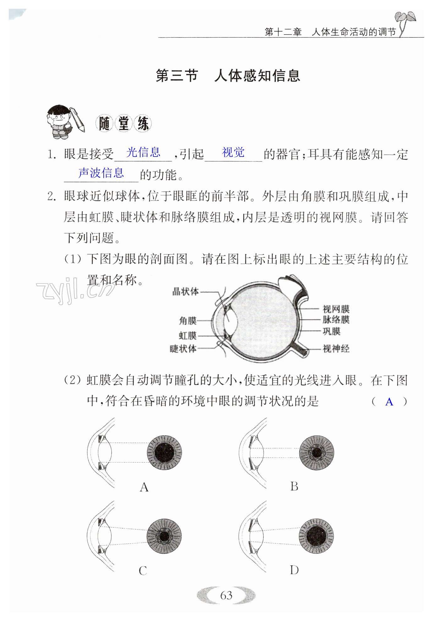 第63页