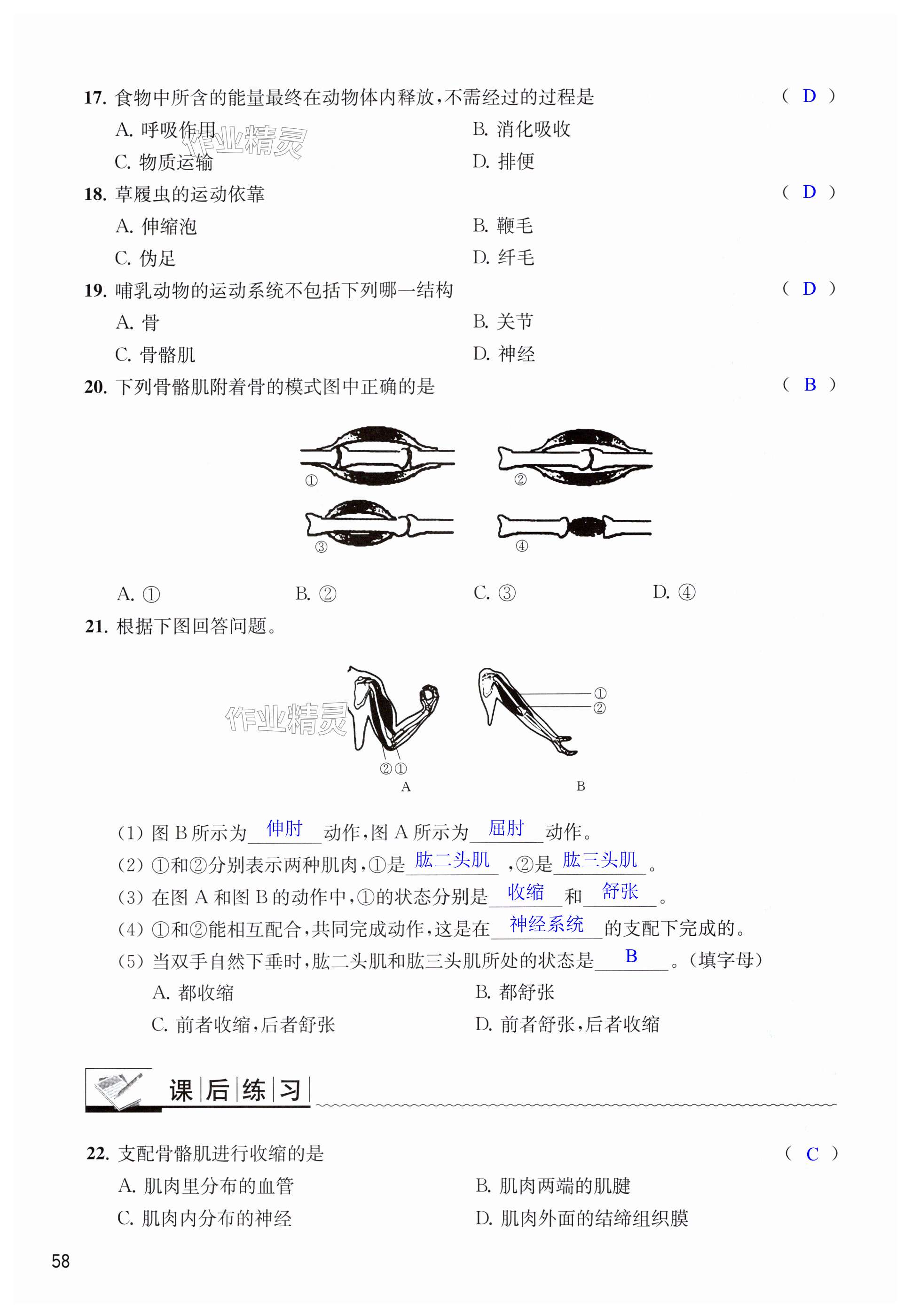 第58页