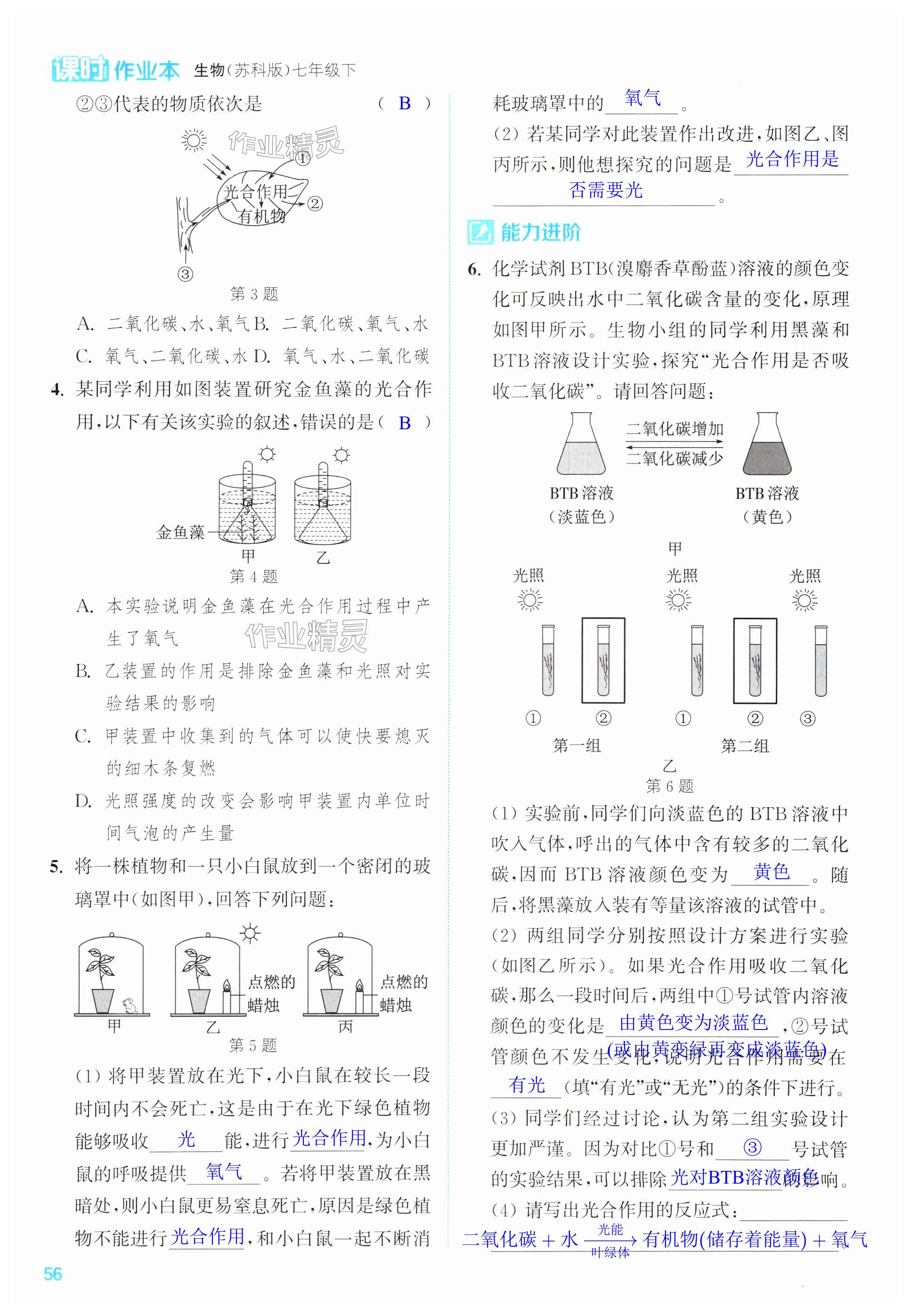 第56页