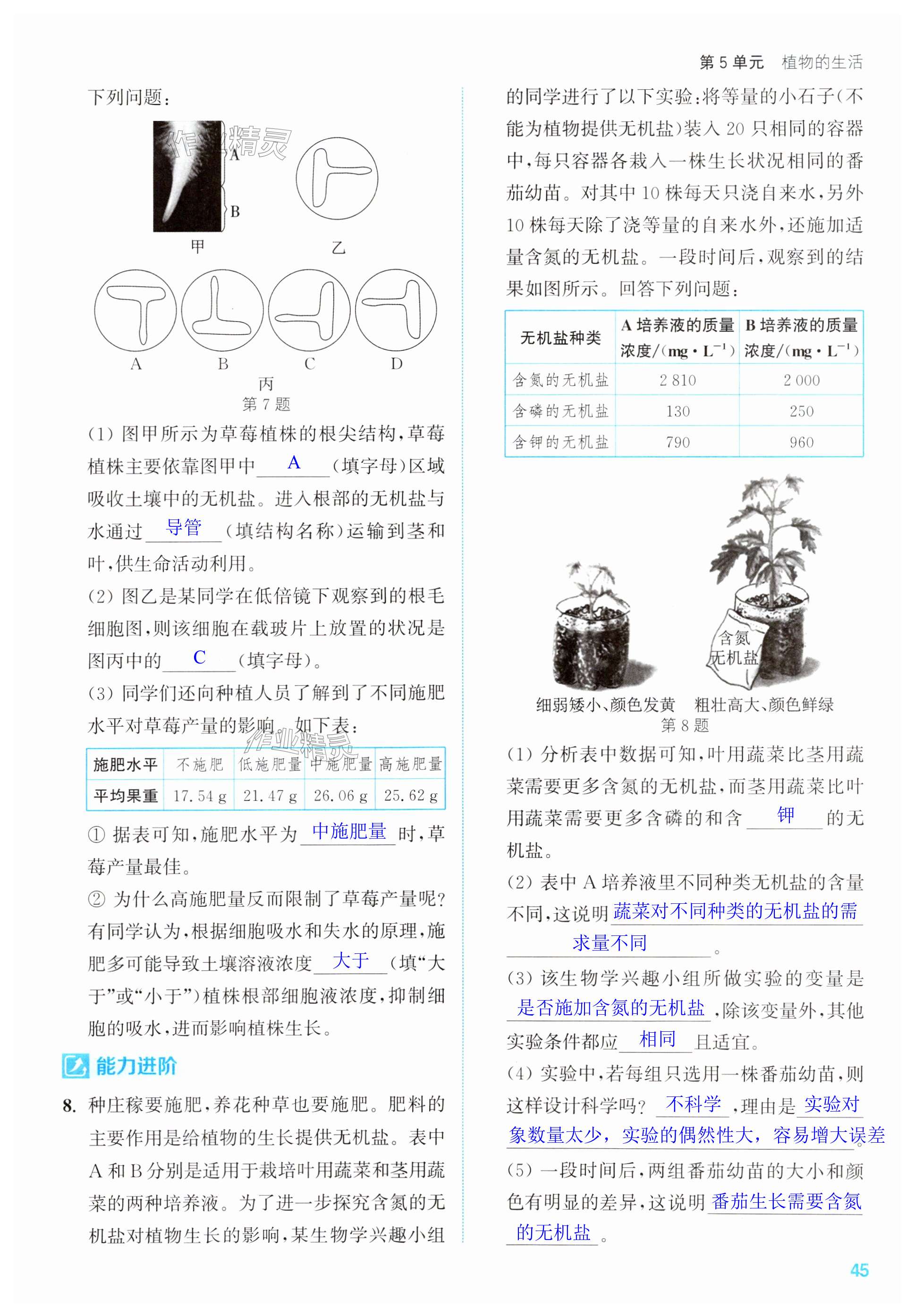 第45页