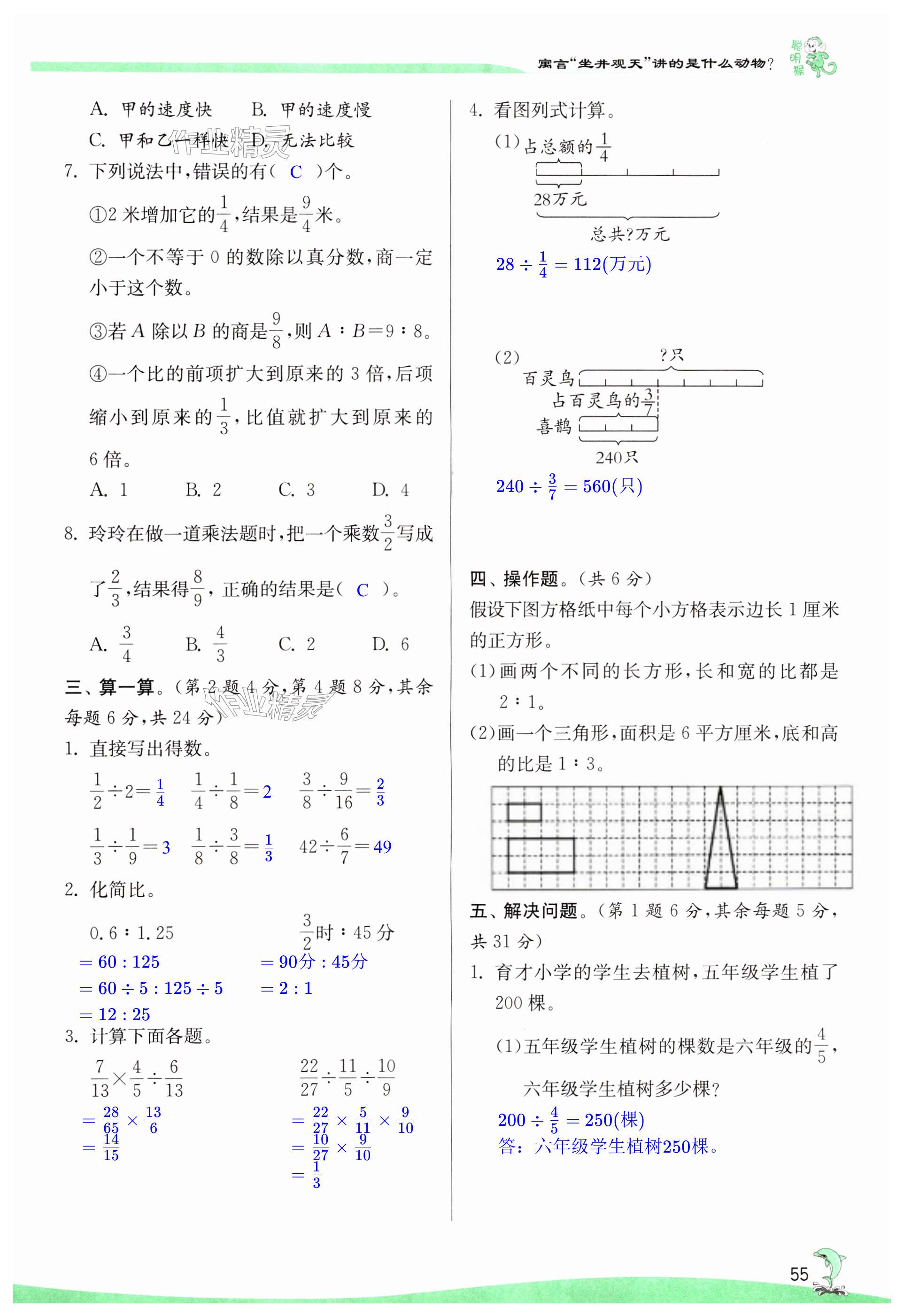 第55页