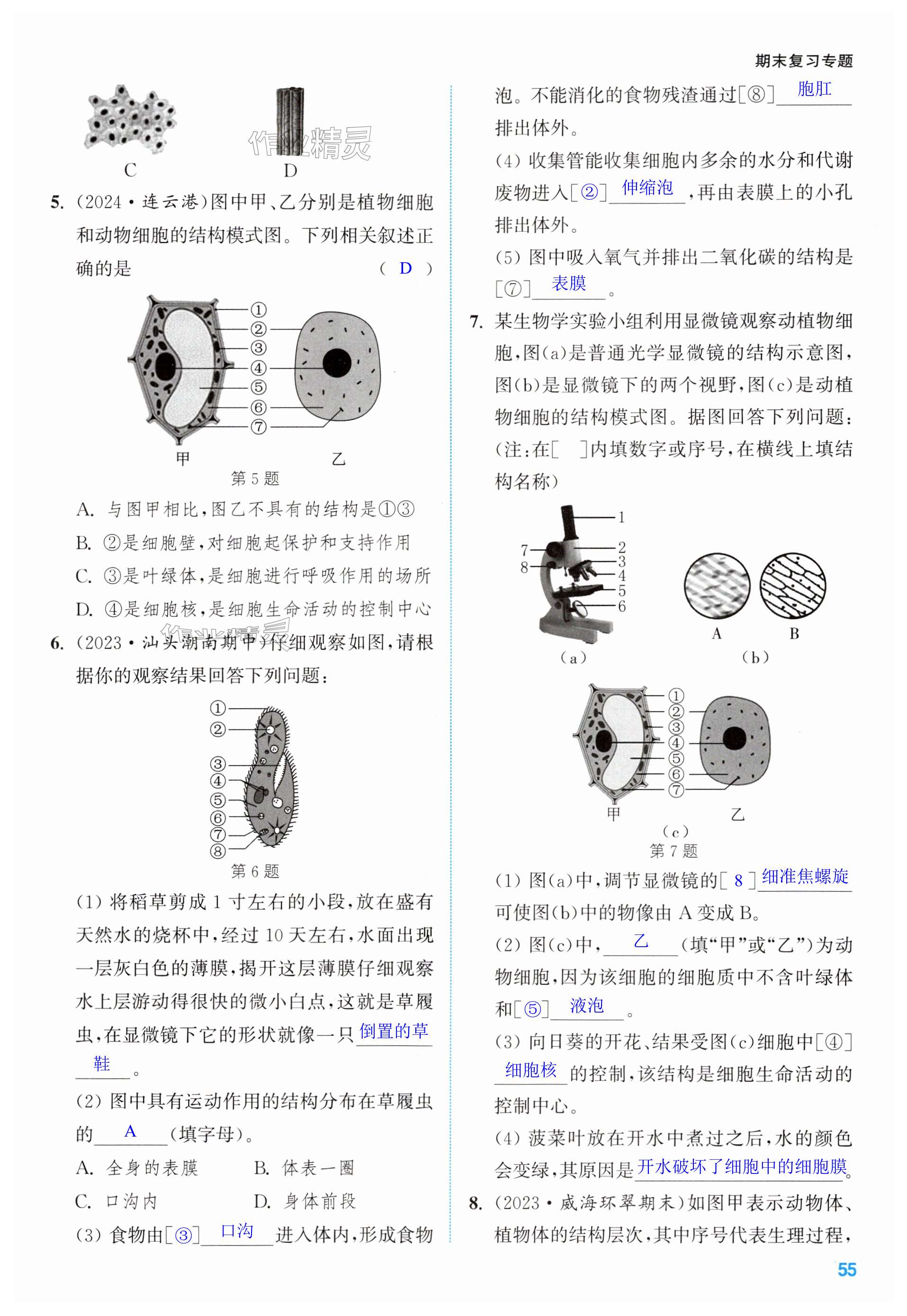 第55页