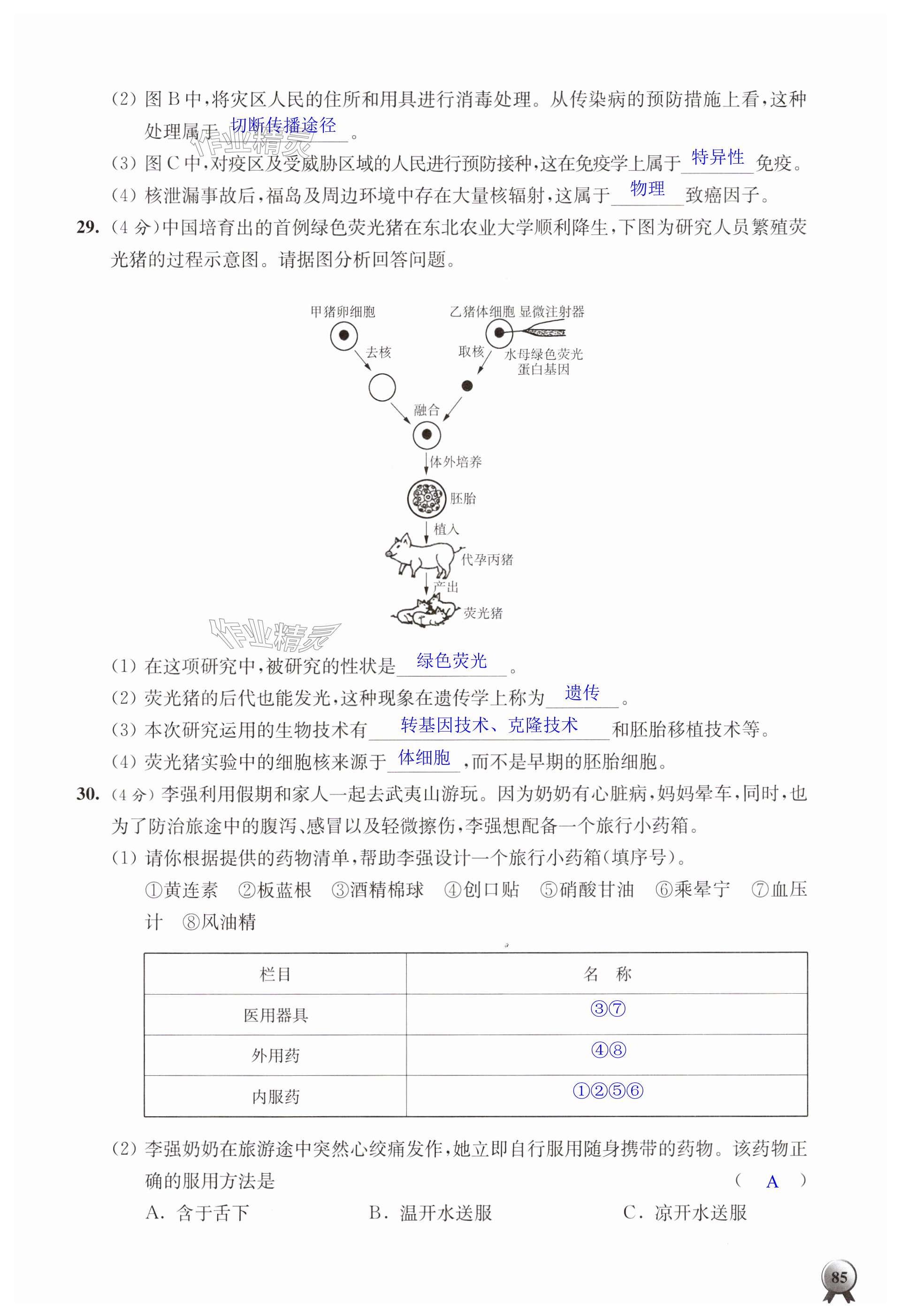 第85页