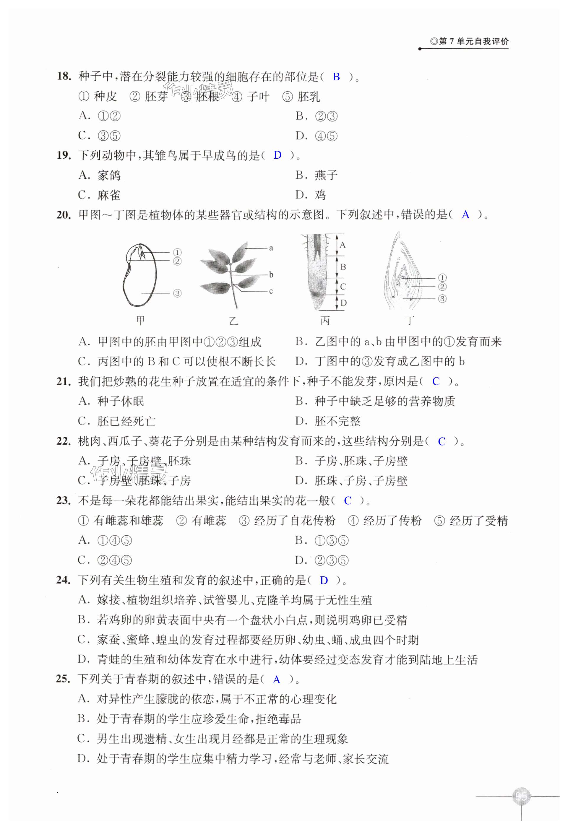 第95页