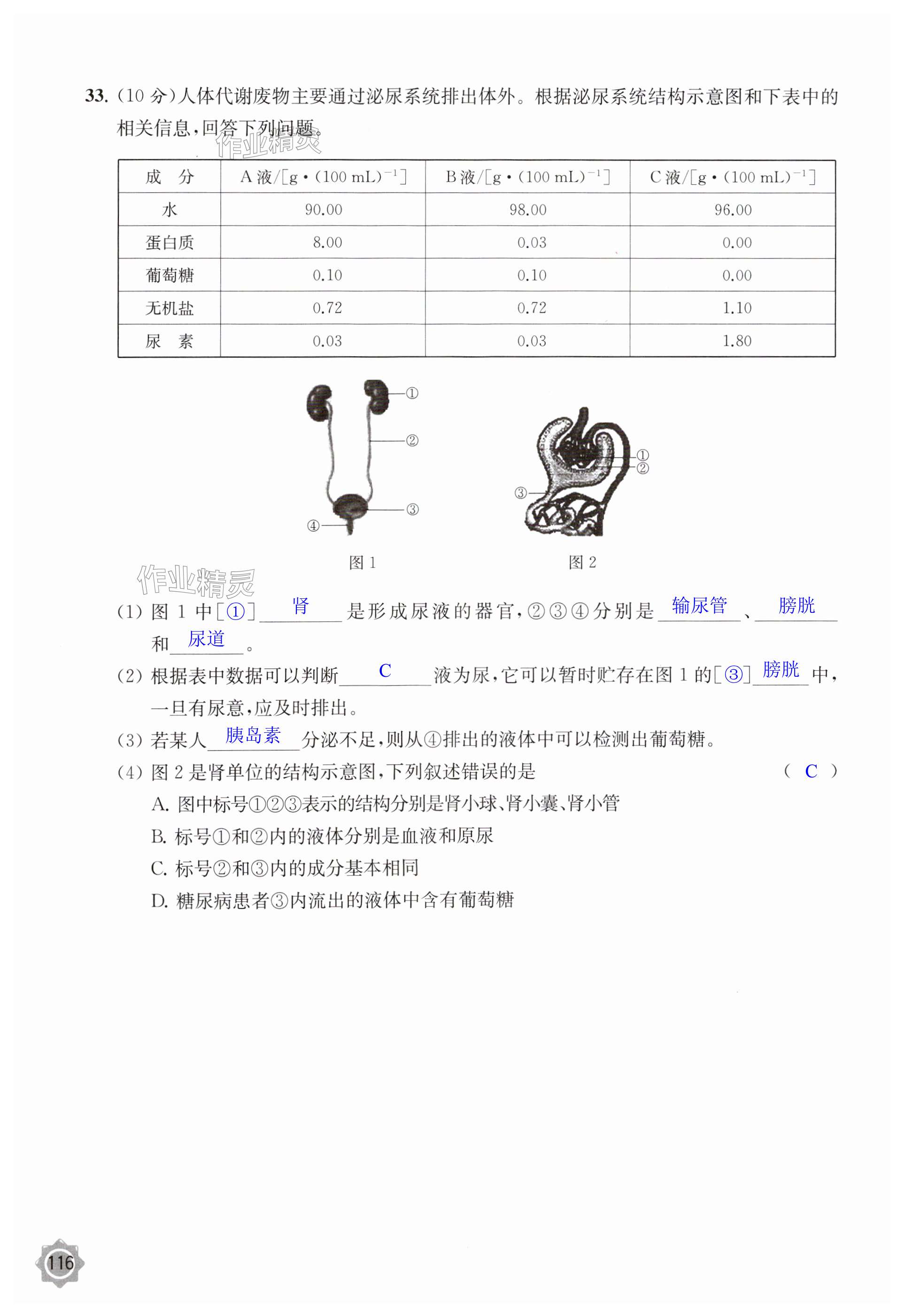 第116页