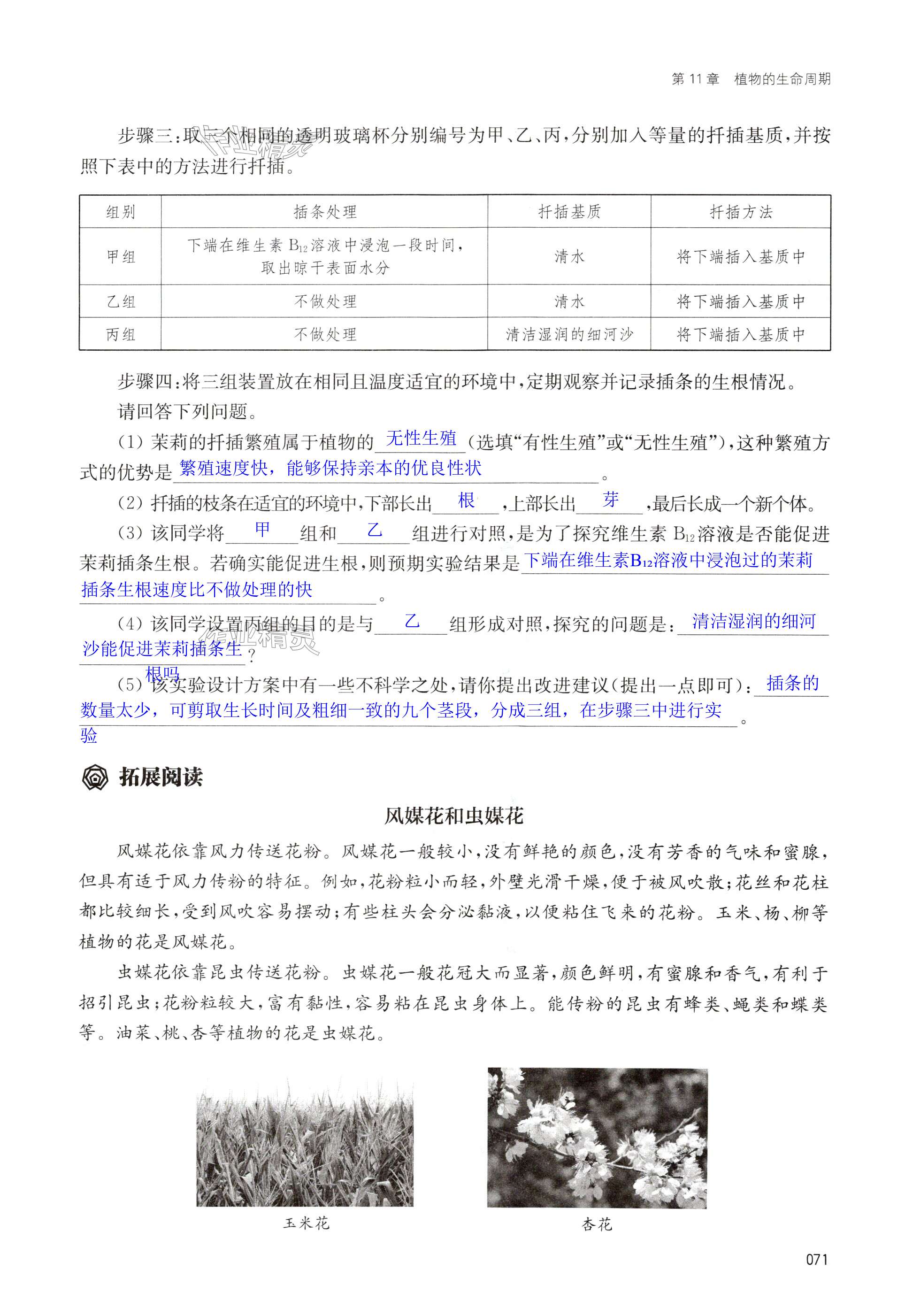 第71页