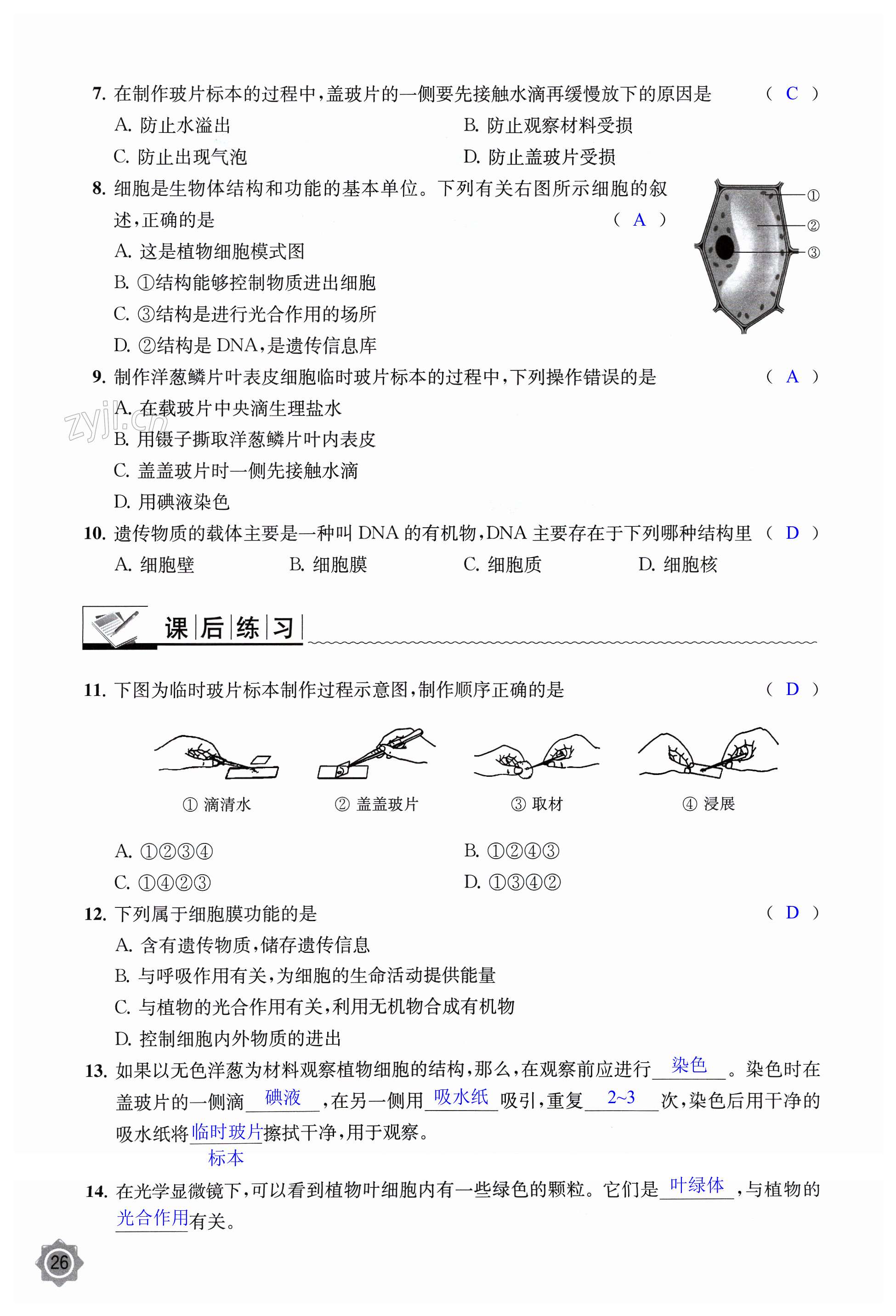 第26页