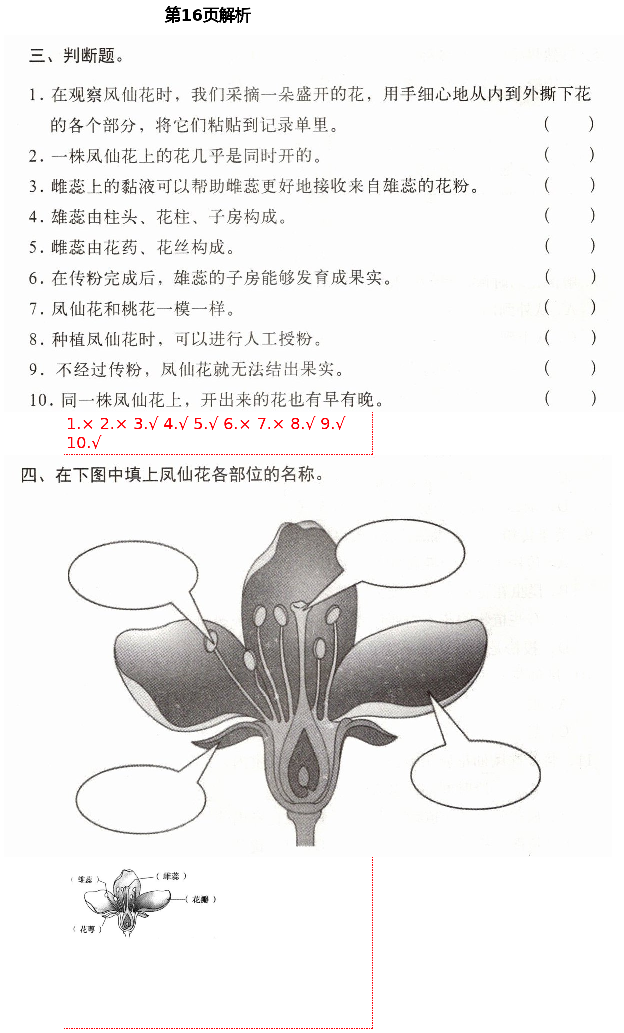 2021年新思維伴你學四年級科學下冊教科版 第16頁