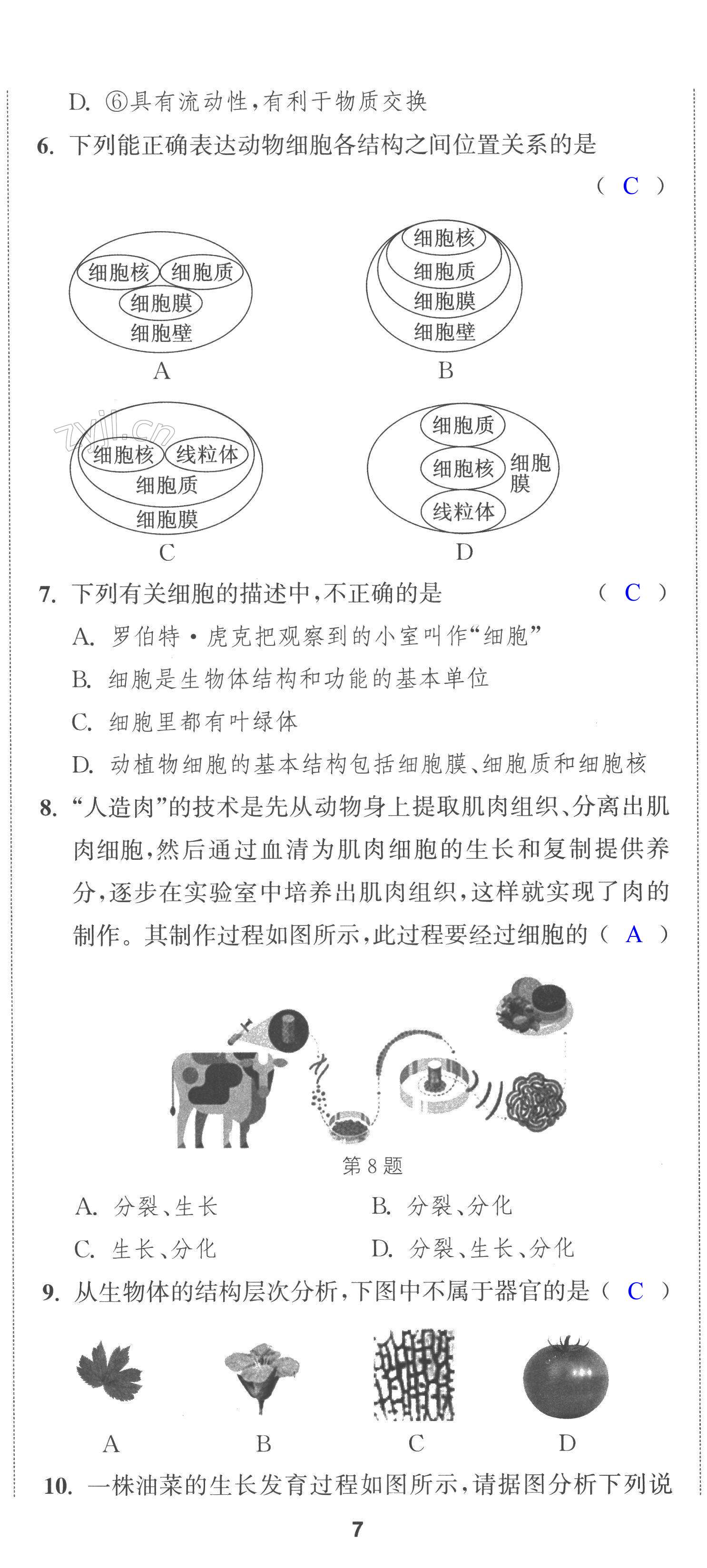 第20页