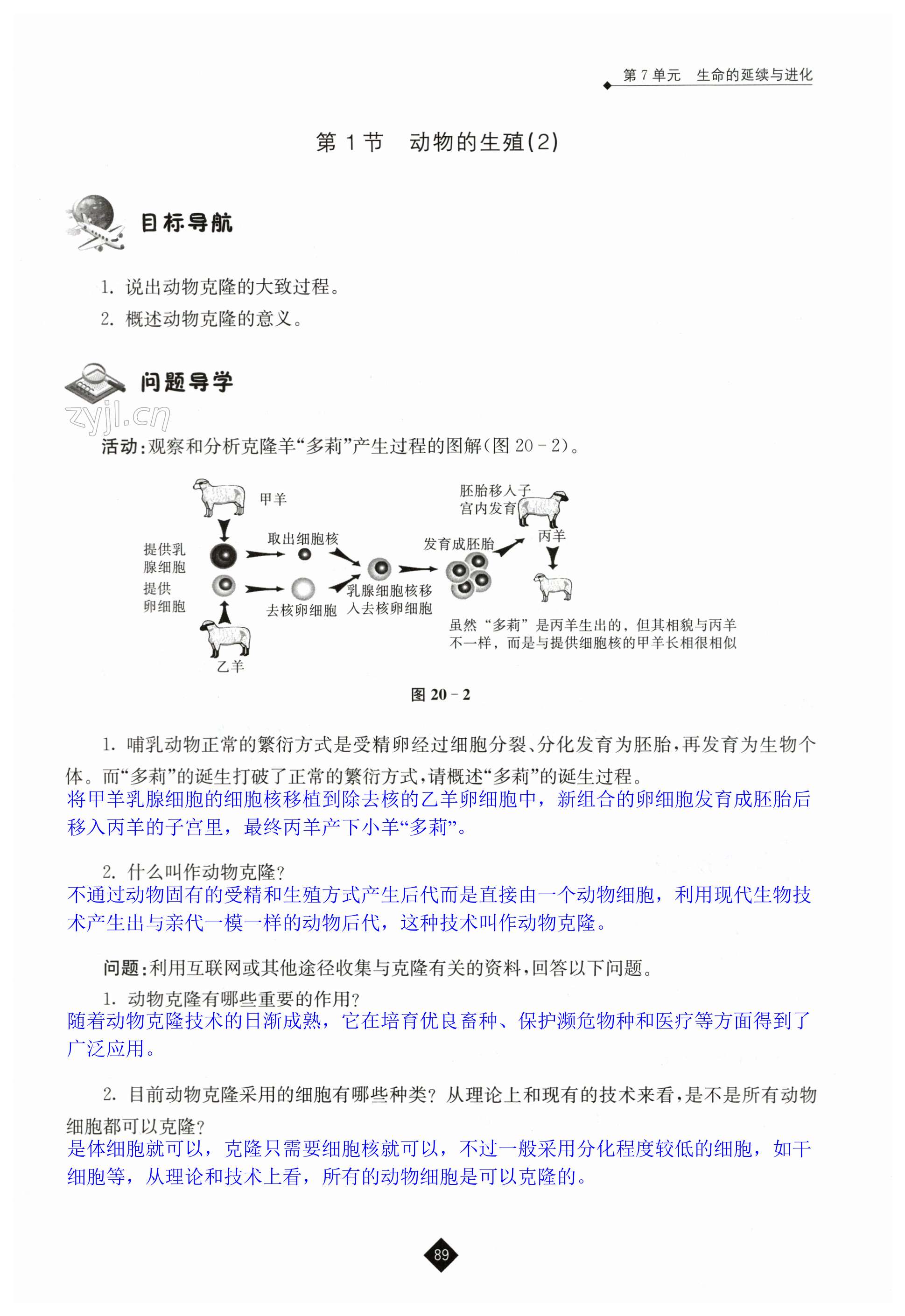 第89页