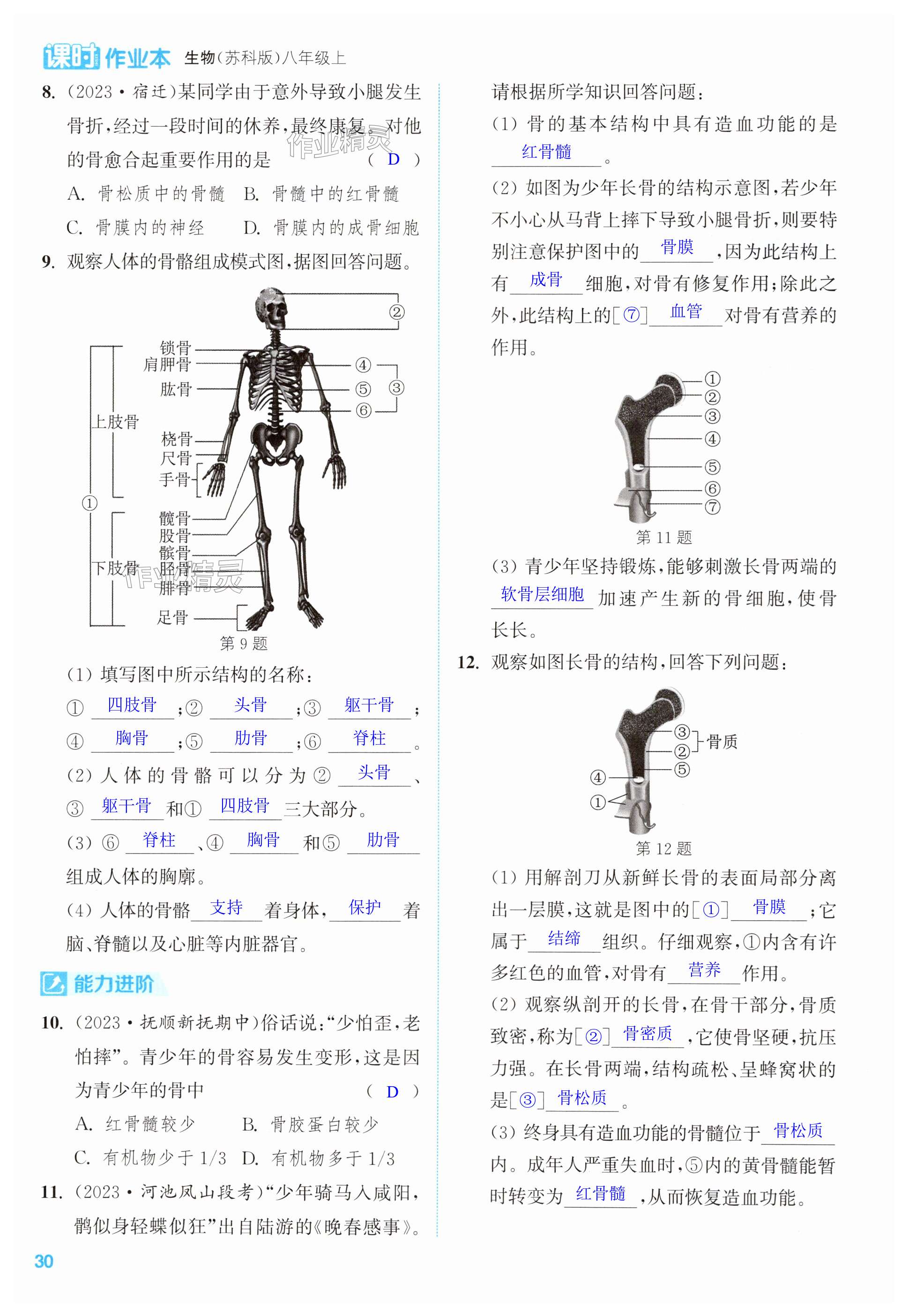 第30页