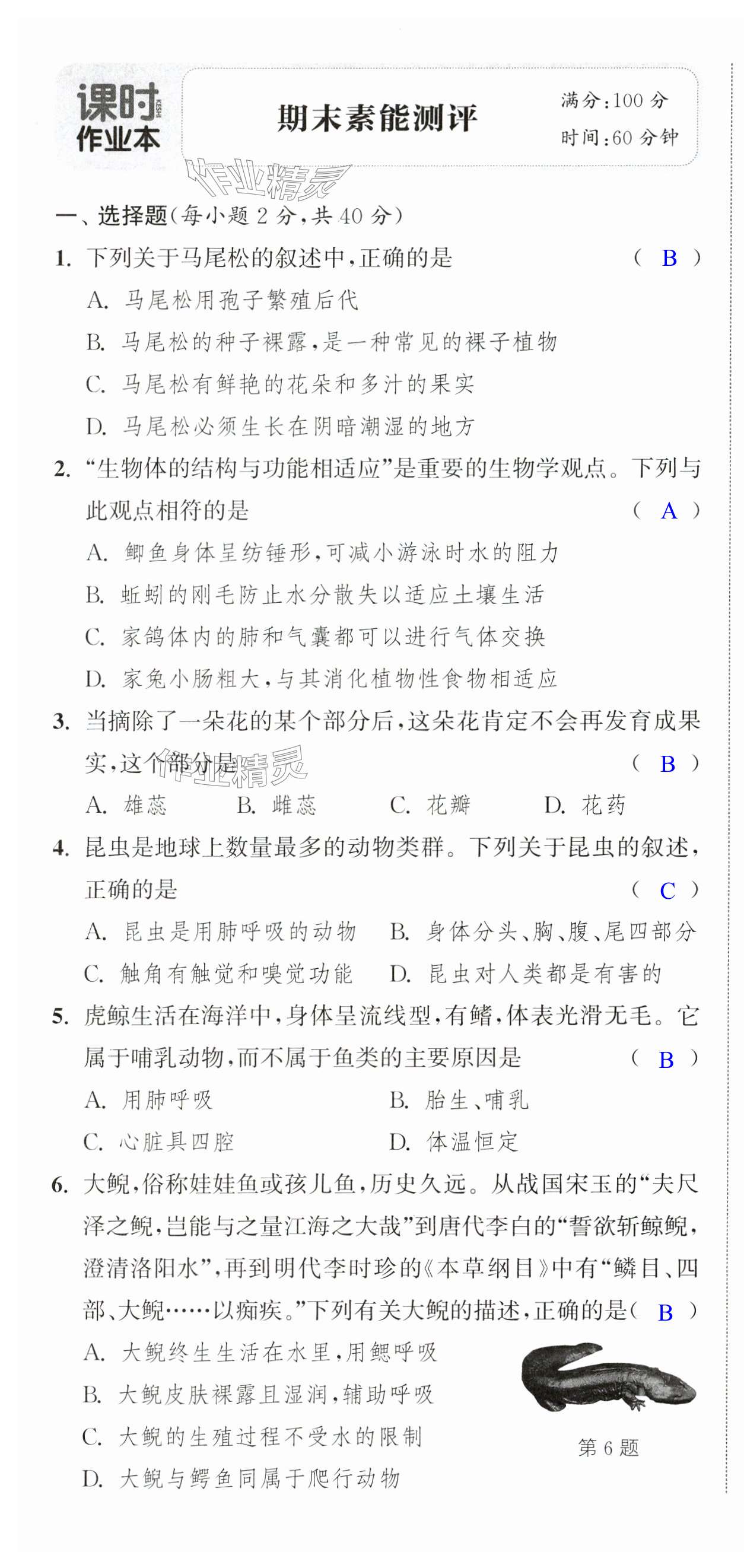 第31页
