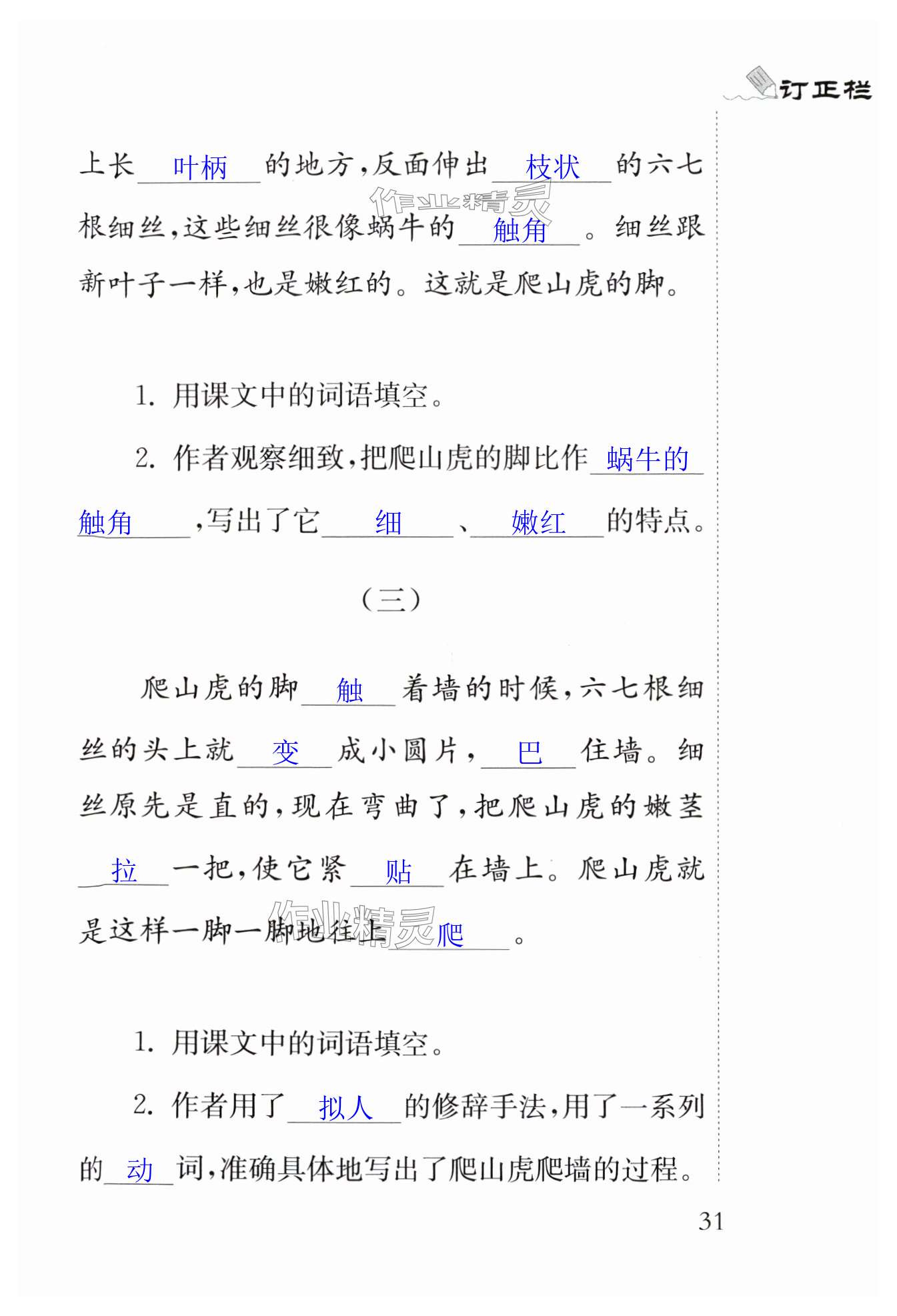 第31页