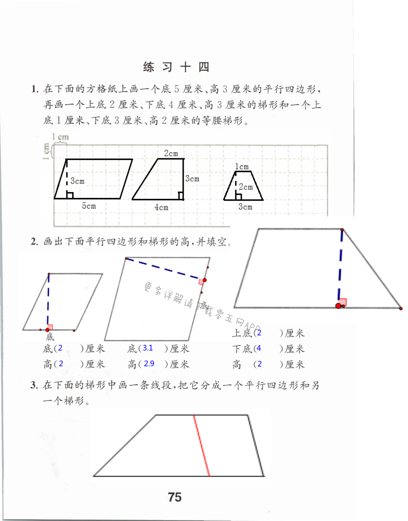 七  三角形、平行四边形和梯形 - 第75页