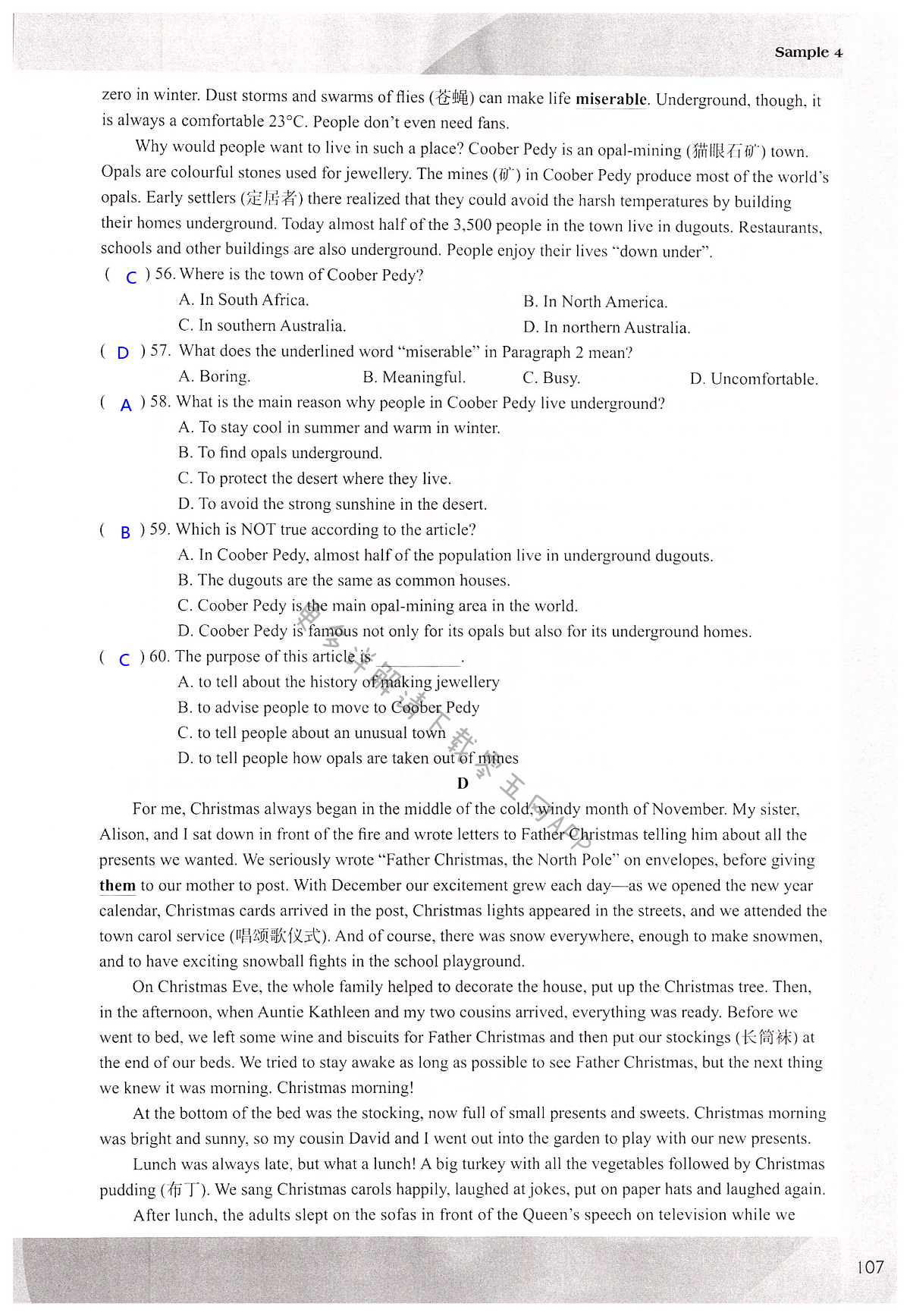 Sample 4 - 第107页