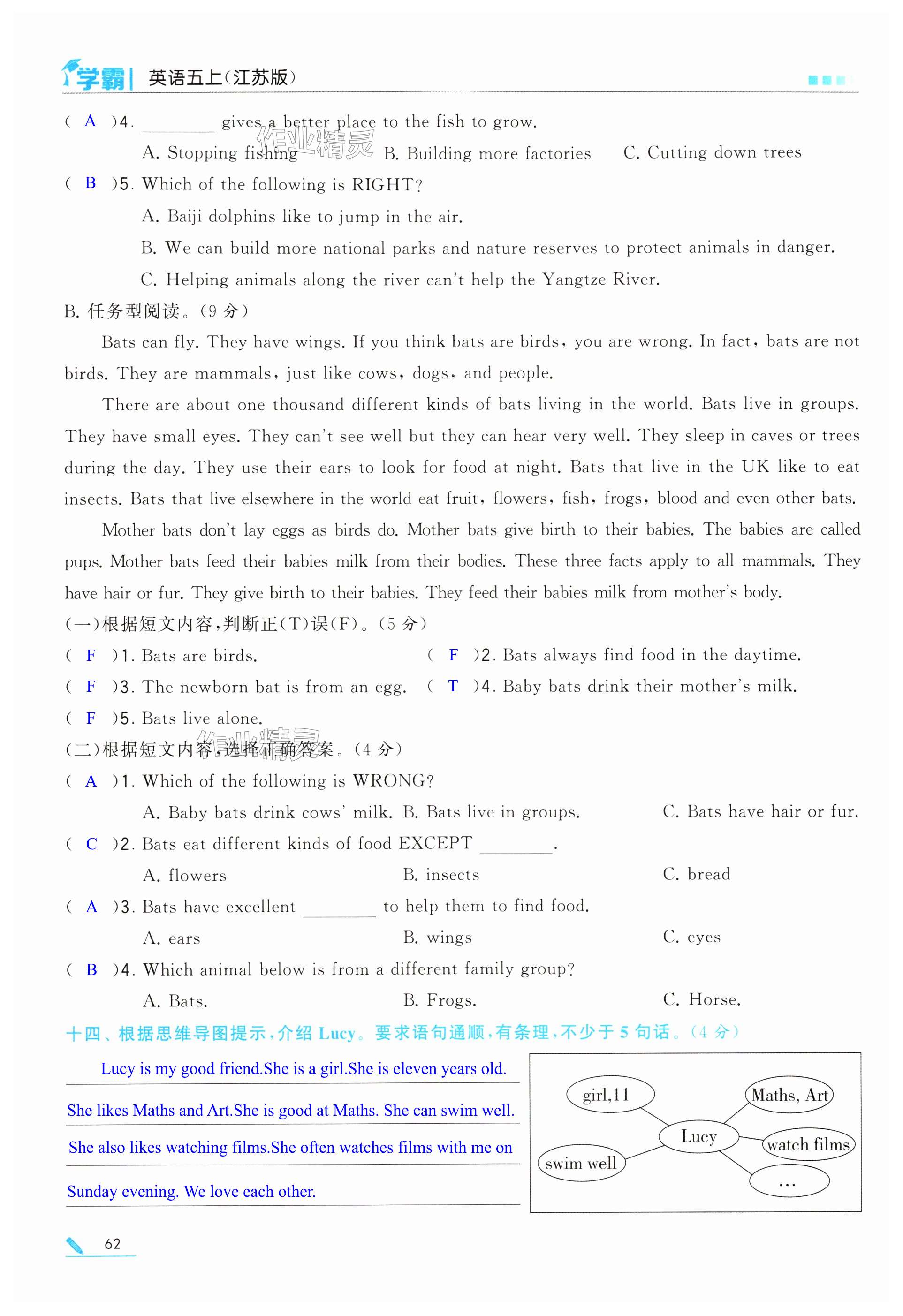 第62页
