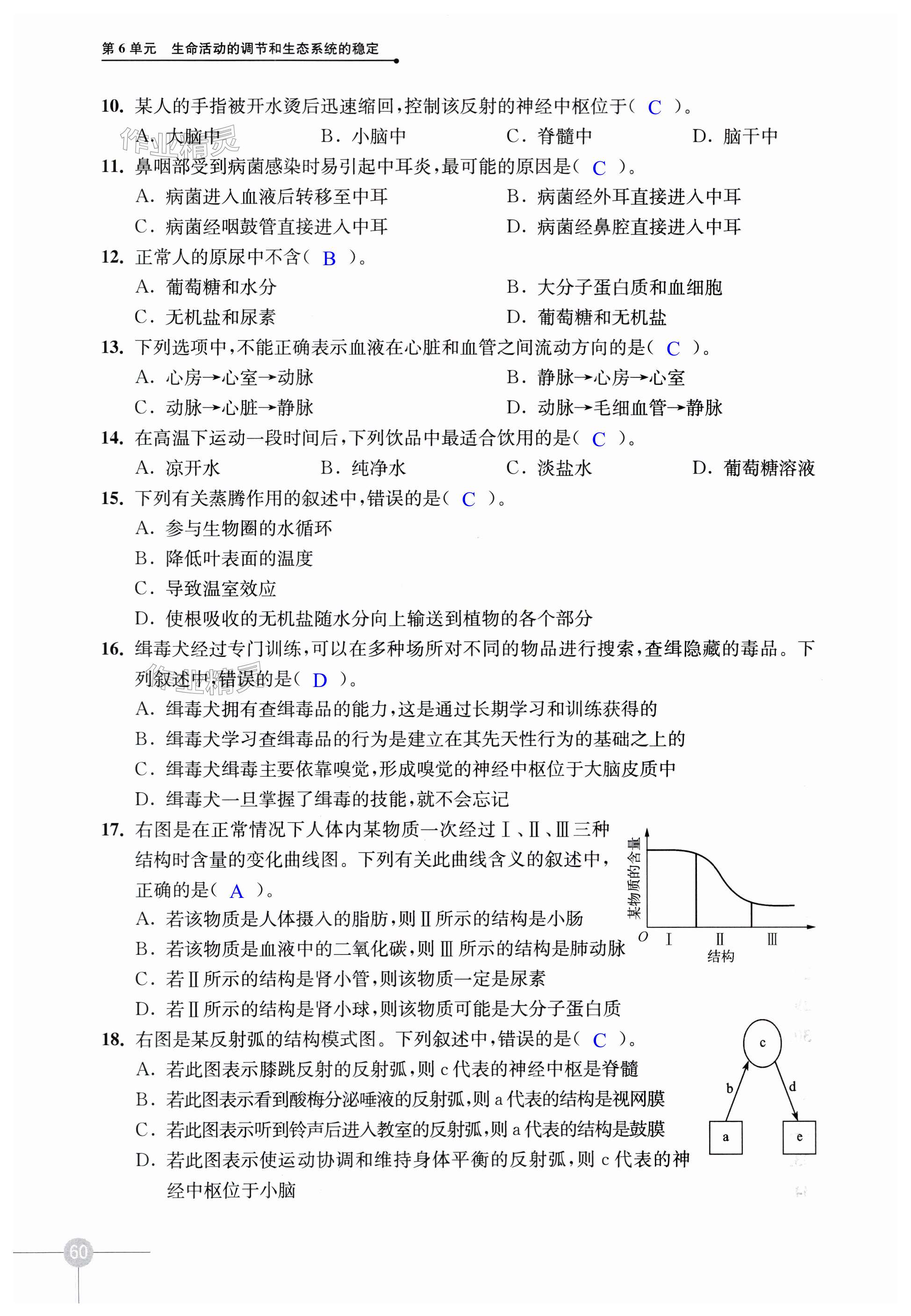 第60页