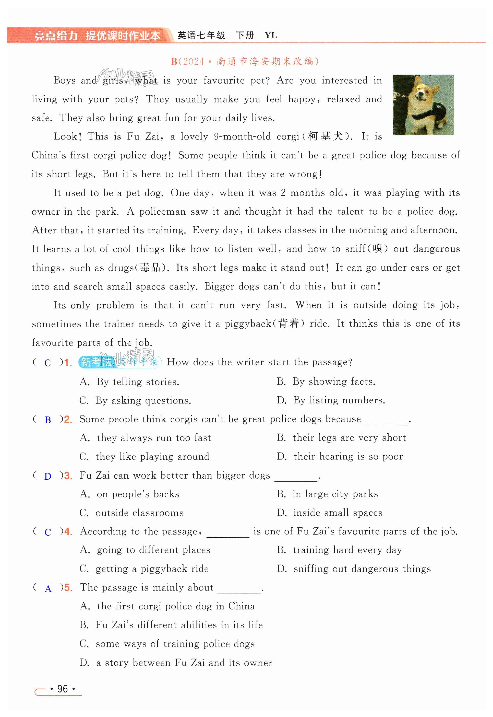 第96页