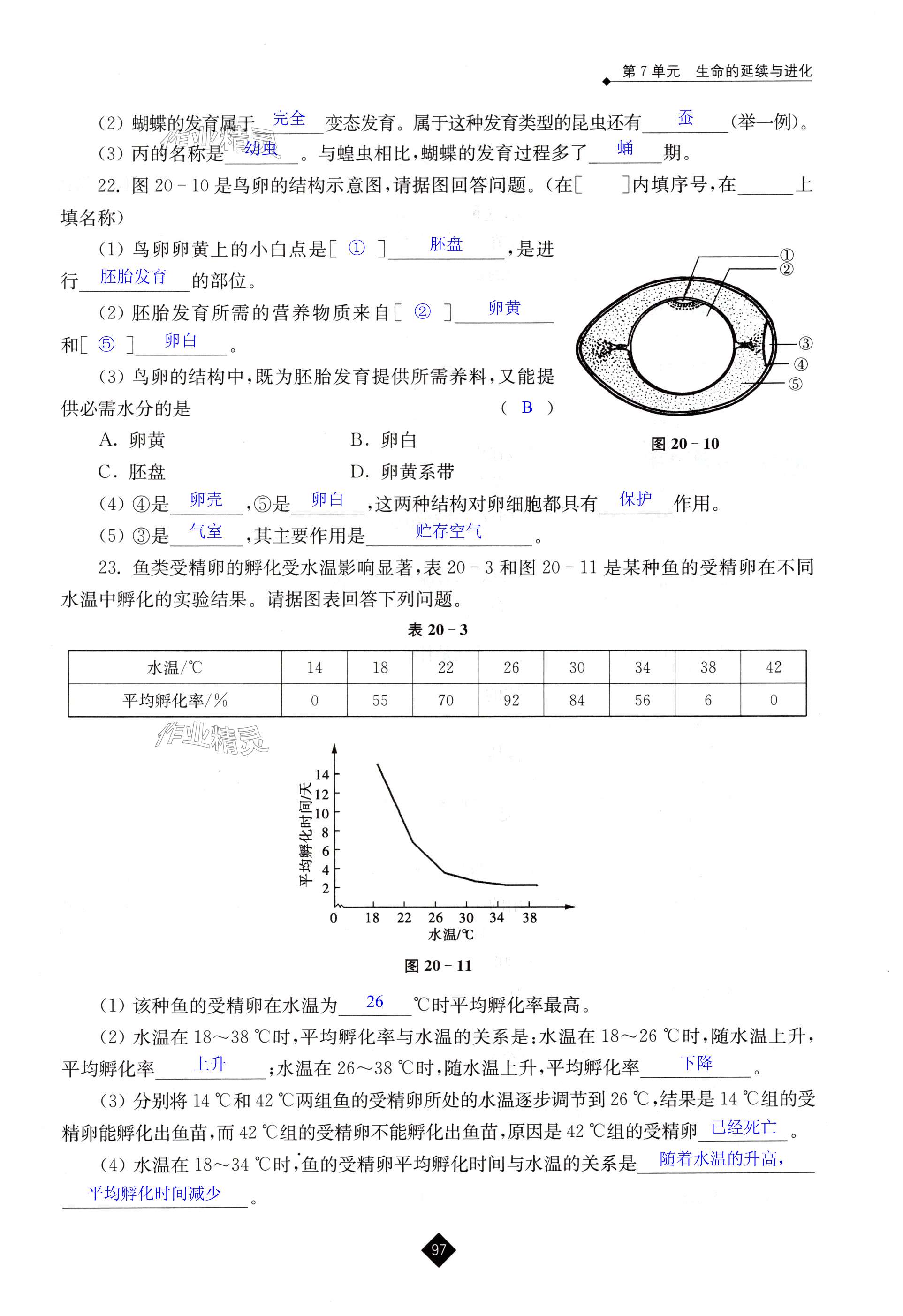 第97页