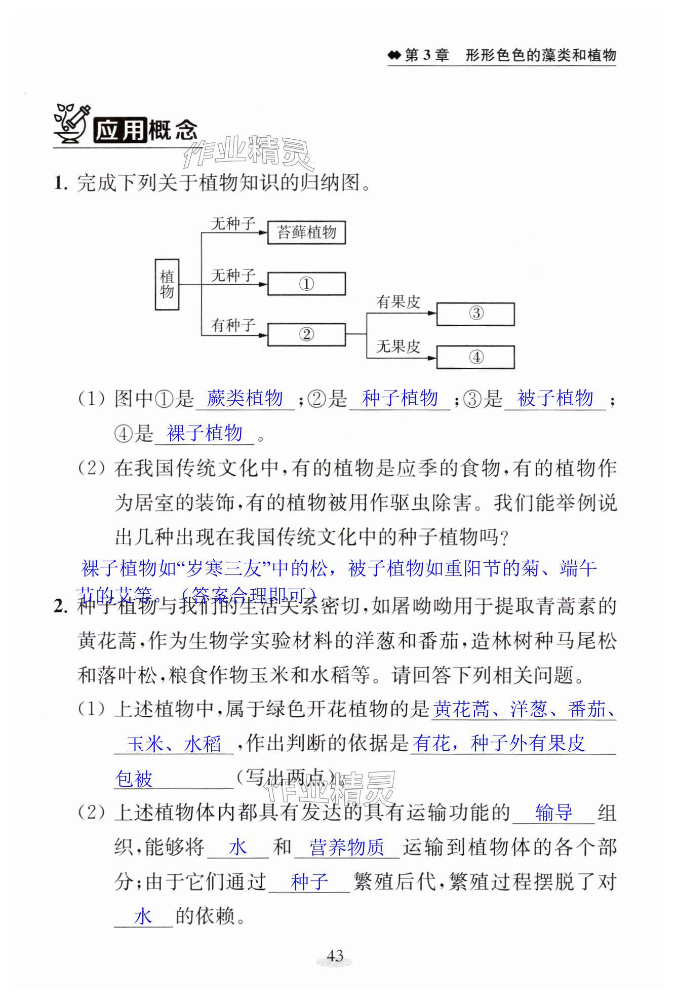 第43页