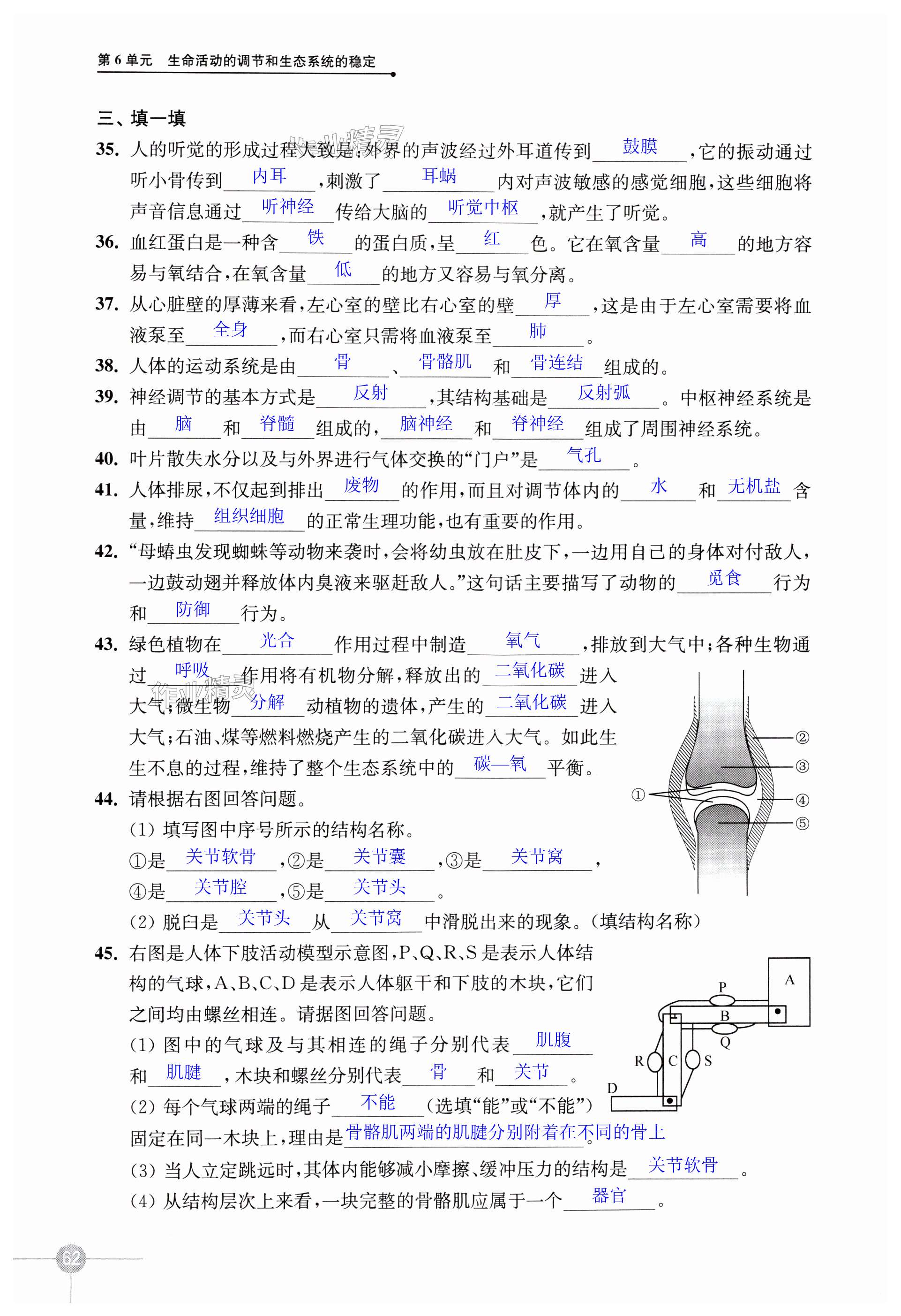 第62页