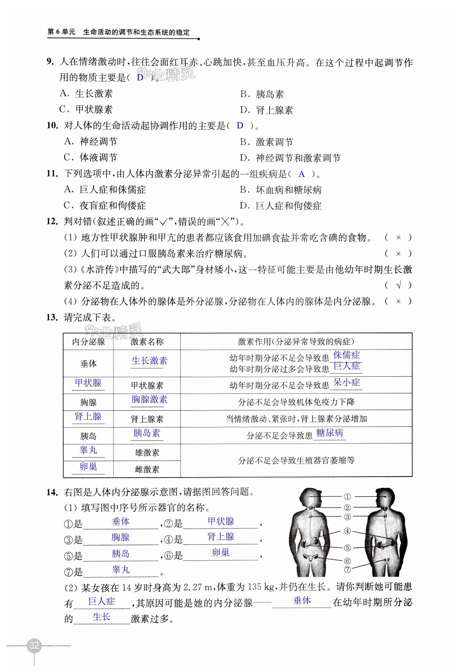 第32页