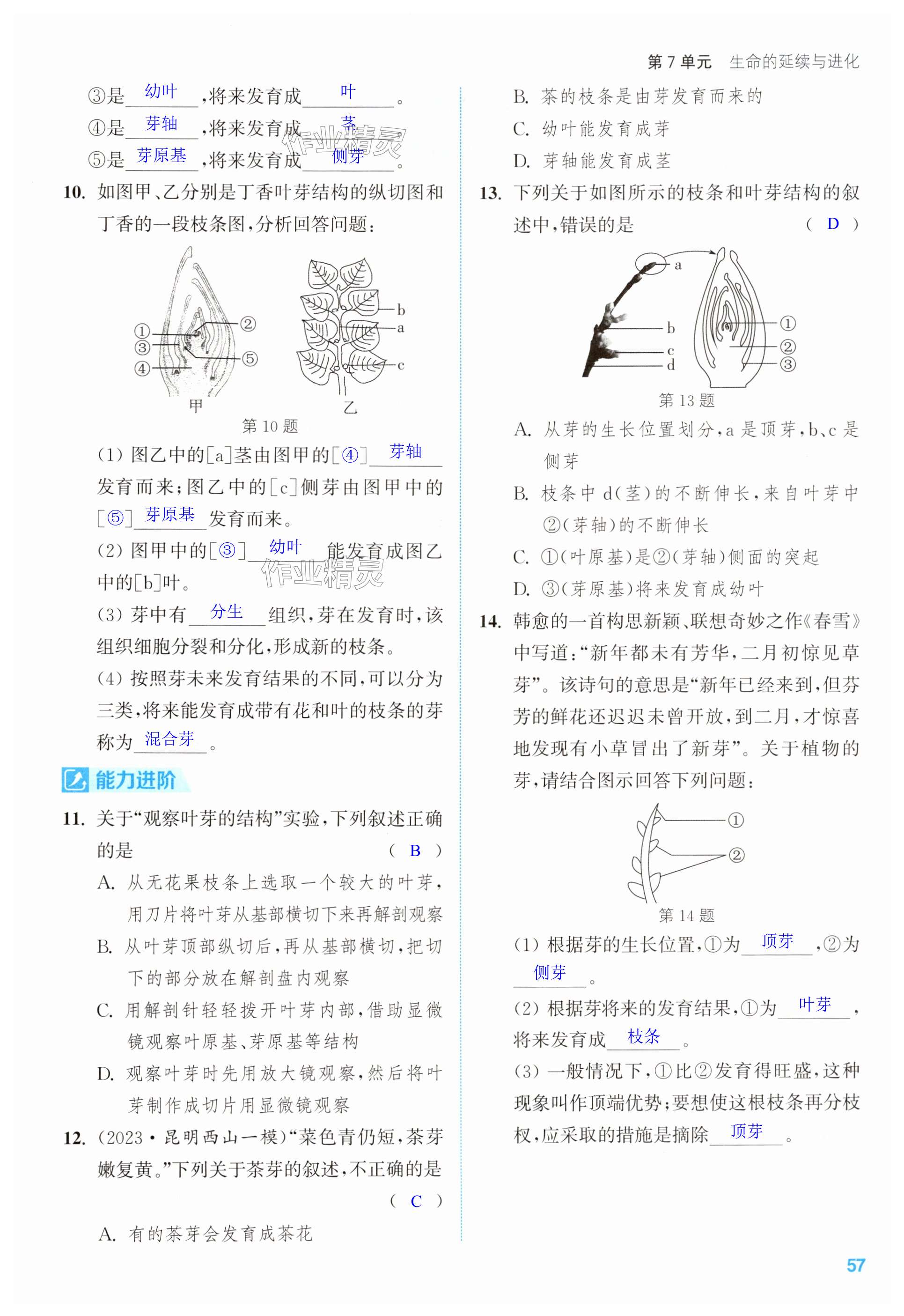 第57页