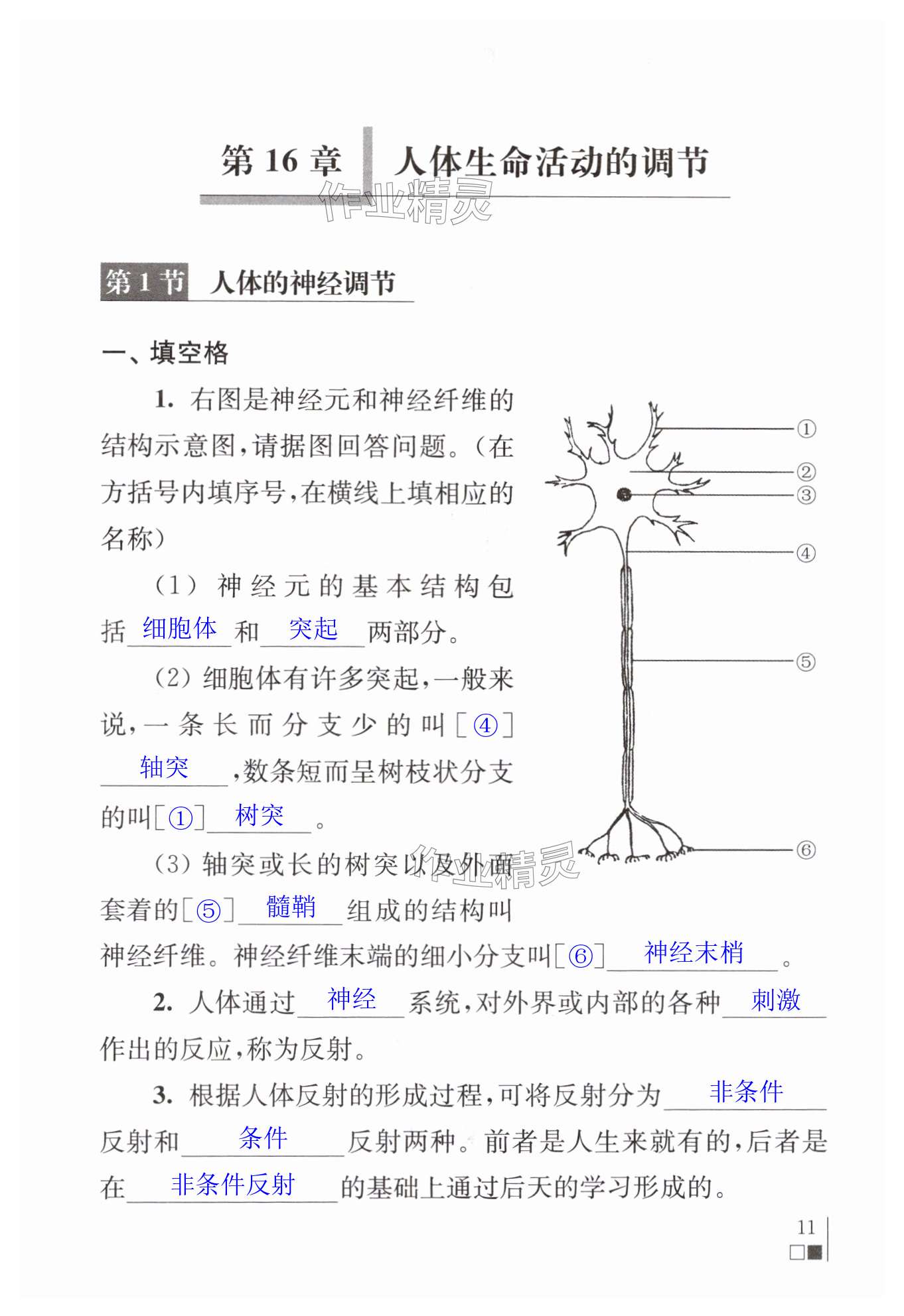 第11页