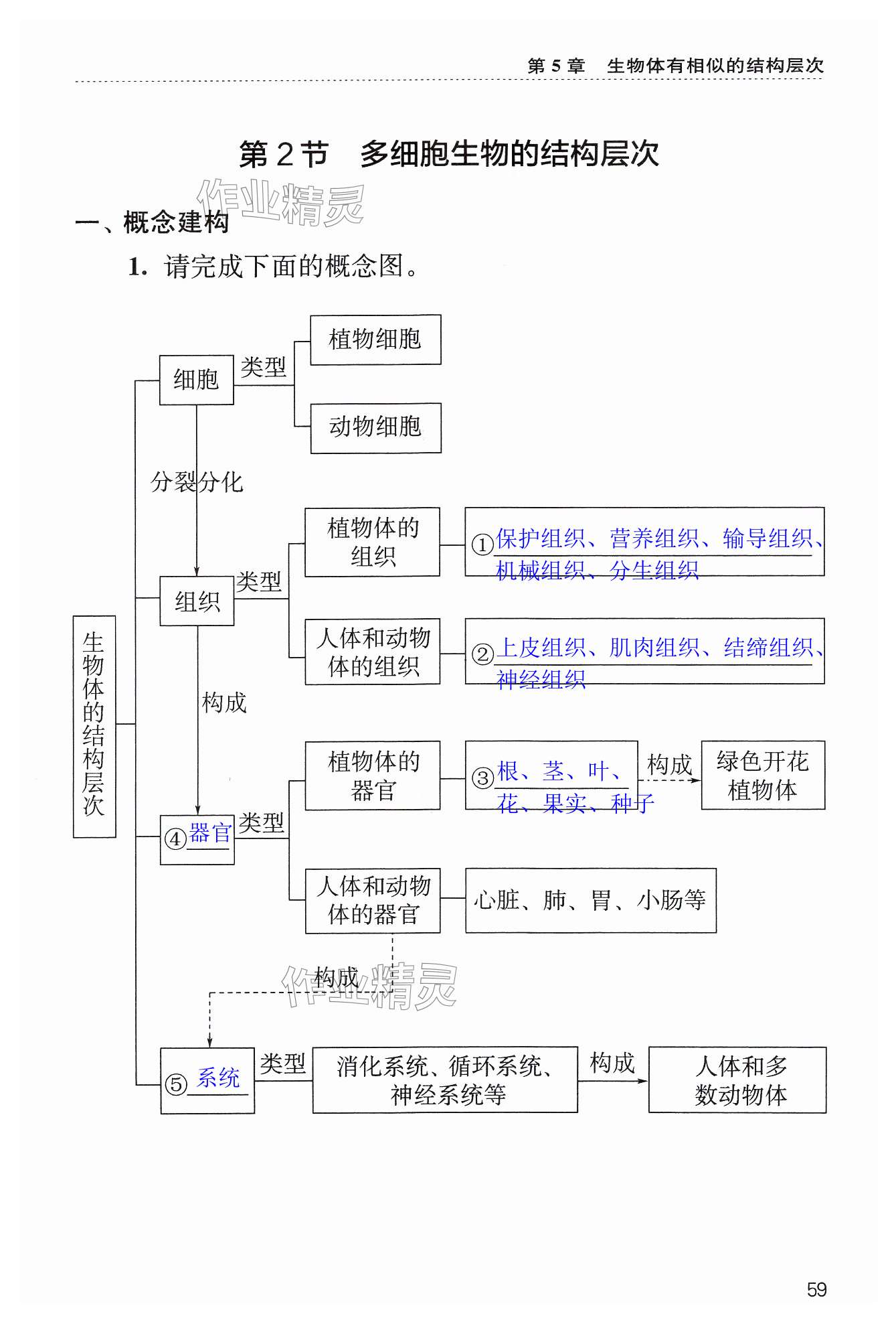 第59页