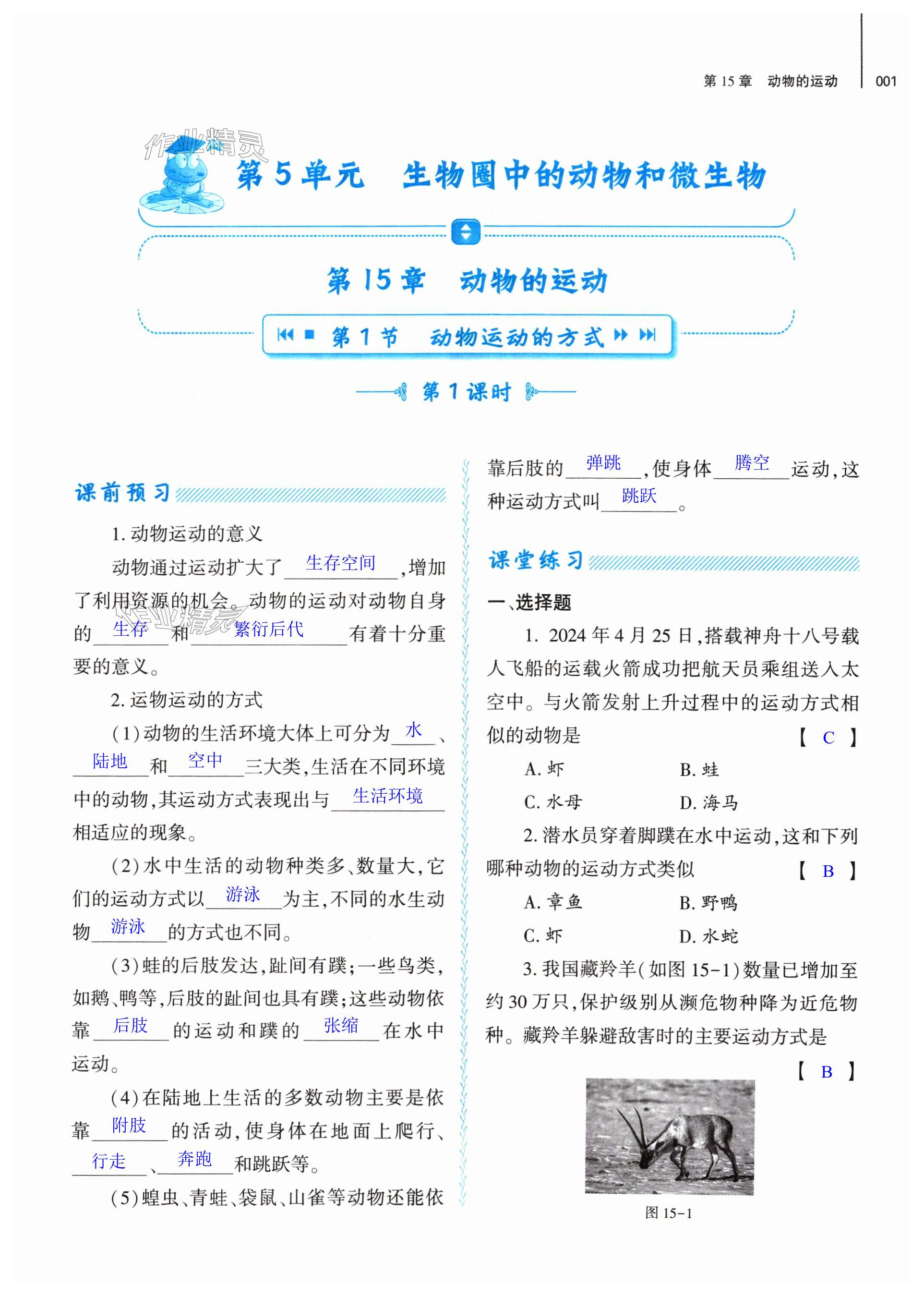 2024年基礎(chǔ)訓(xùn)練大象出版社八年級生物上冊北師大版 第1頁