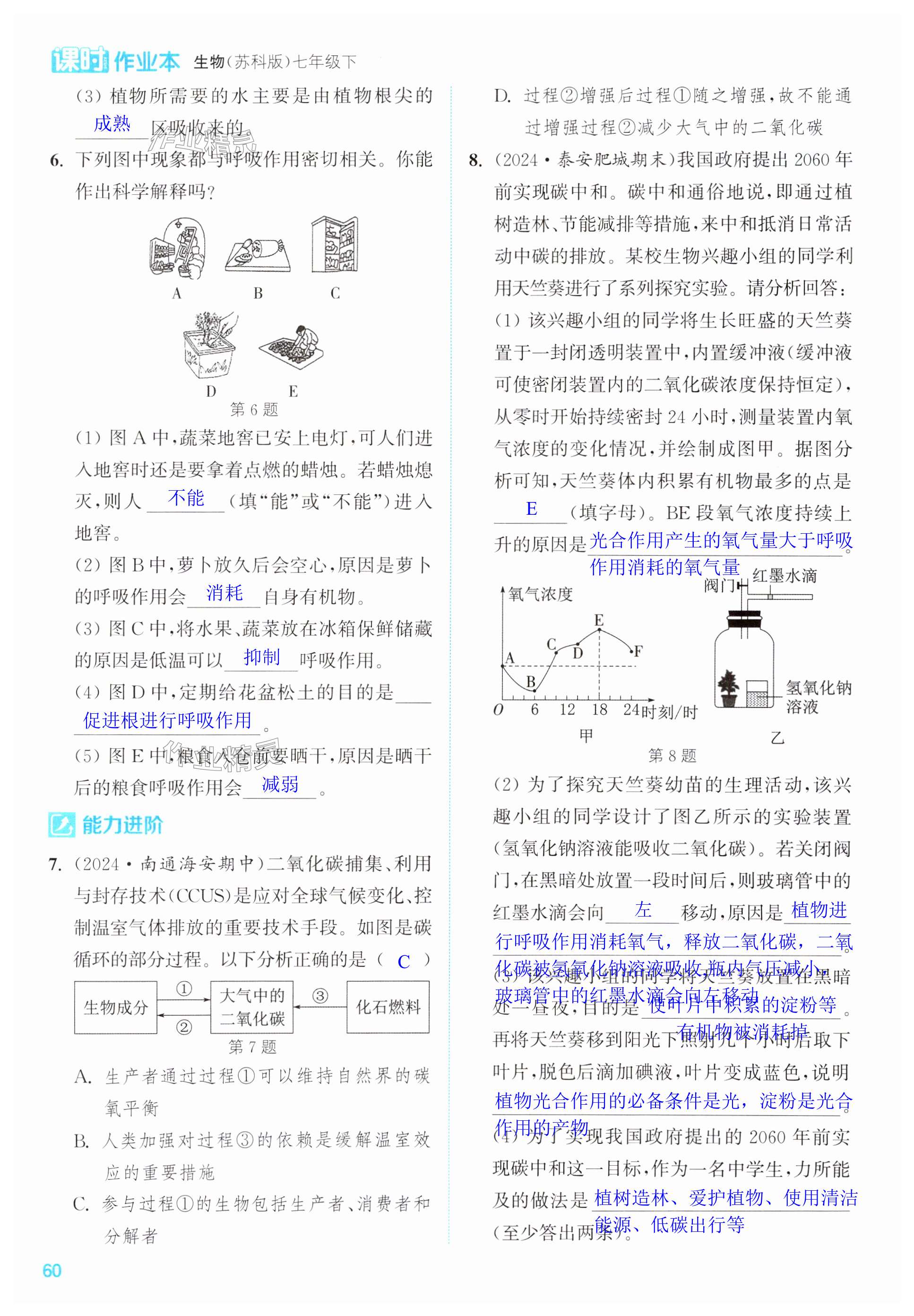 第60页