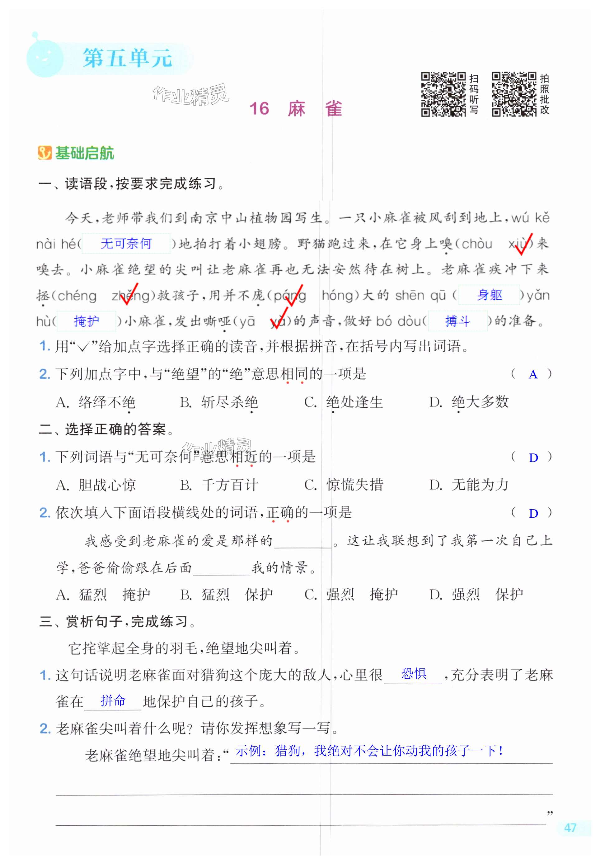 第47页