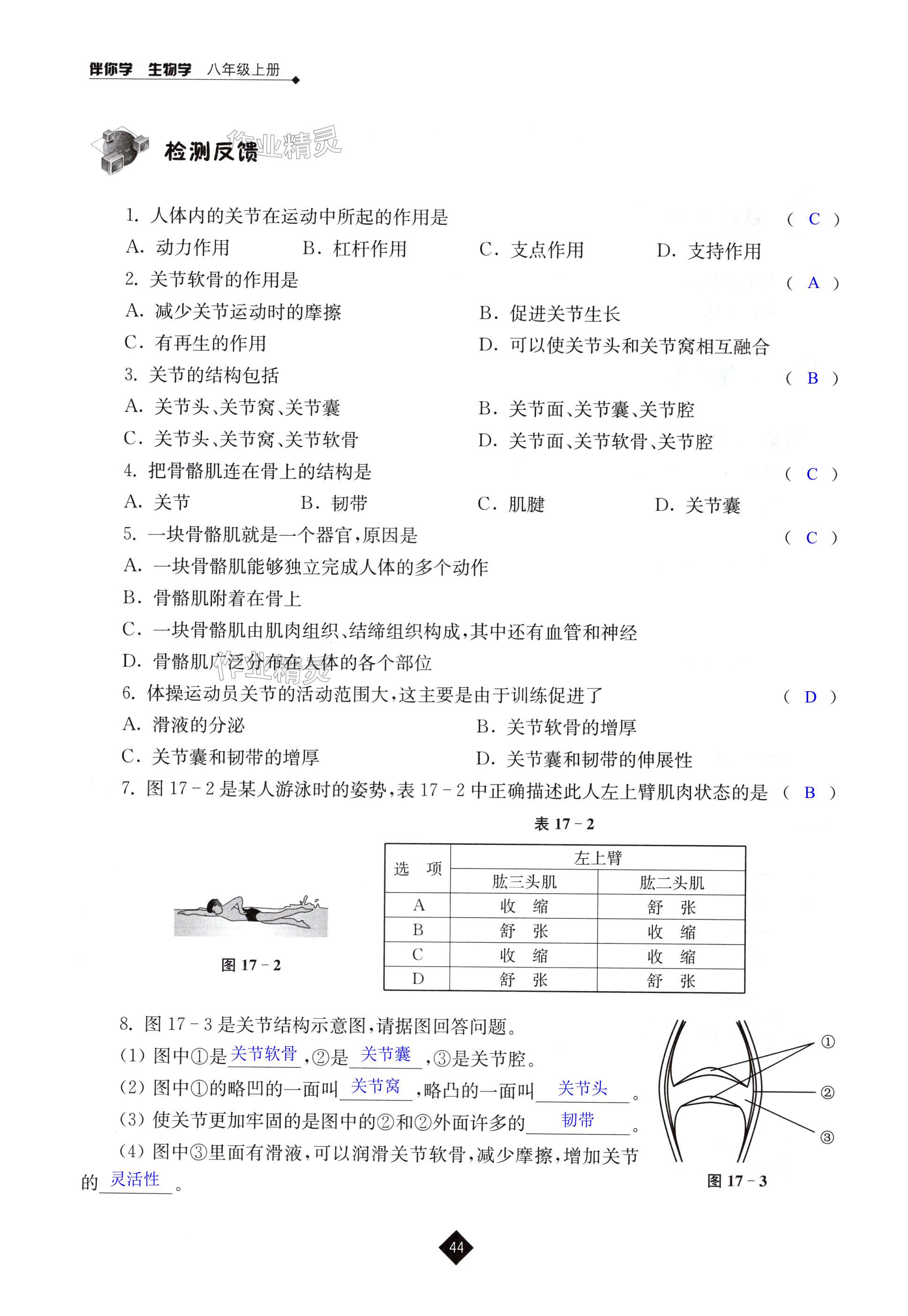 第44页