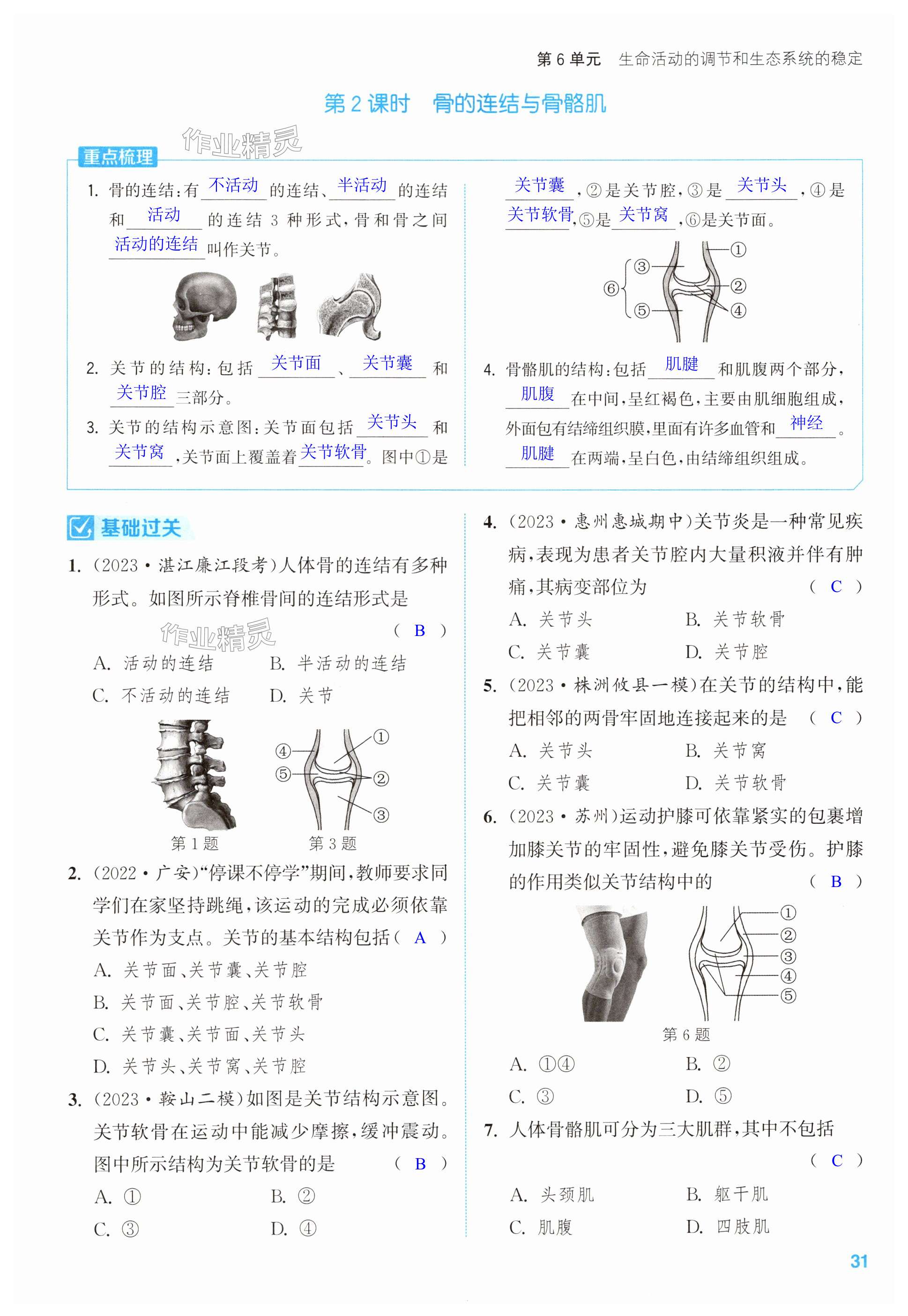 第31页