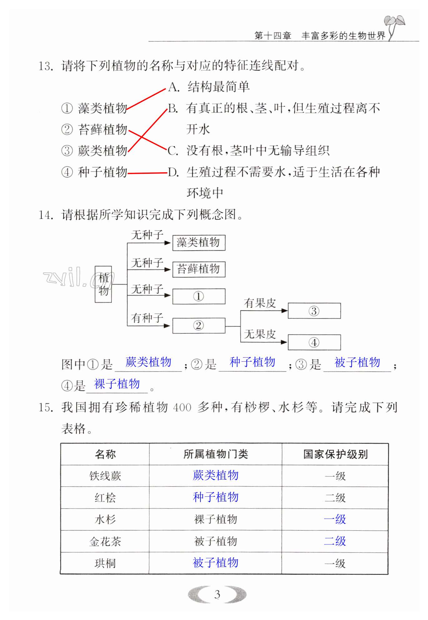 第3页