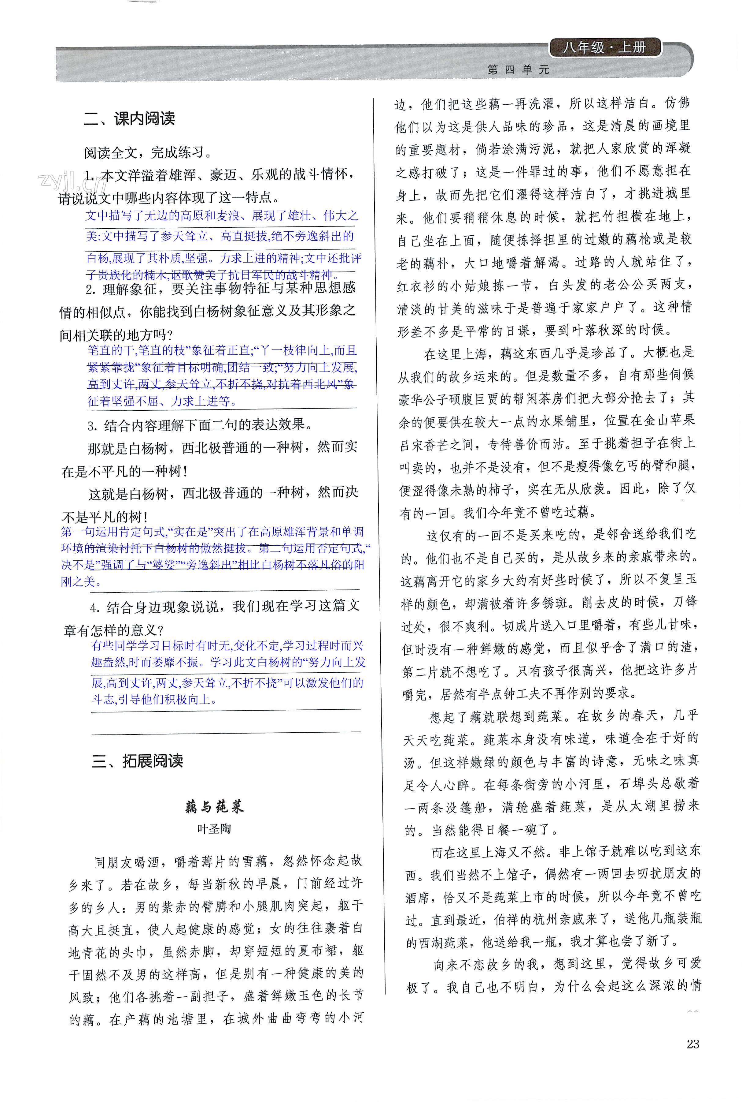 15 白杨礼赞 - 第23页